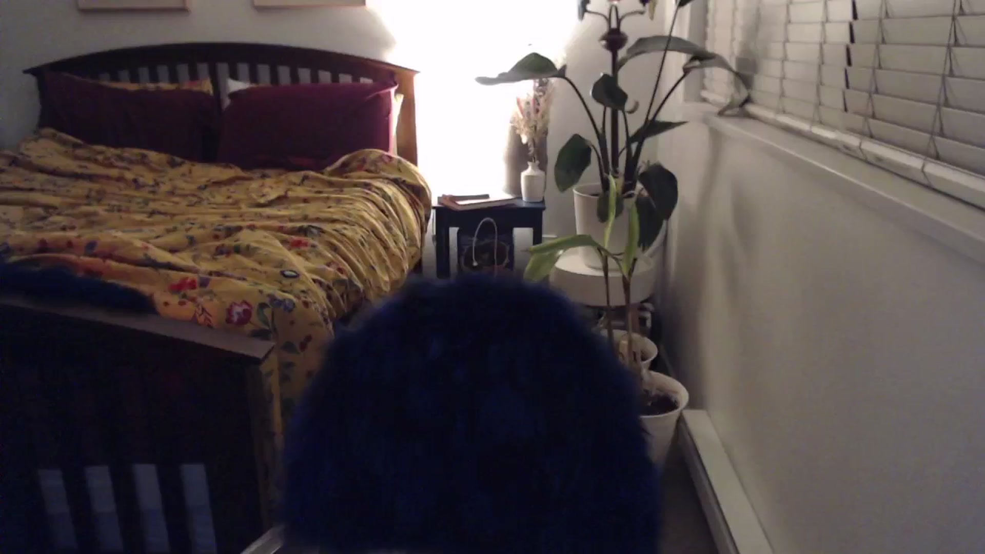 Gallery image thumbnail from AAAAAGHHHHHHH's myfreecams stream on, 01/30/2024, 02:47 image 12 of 20