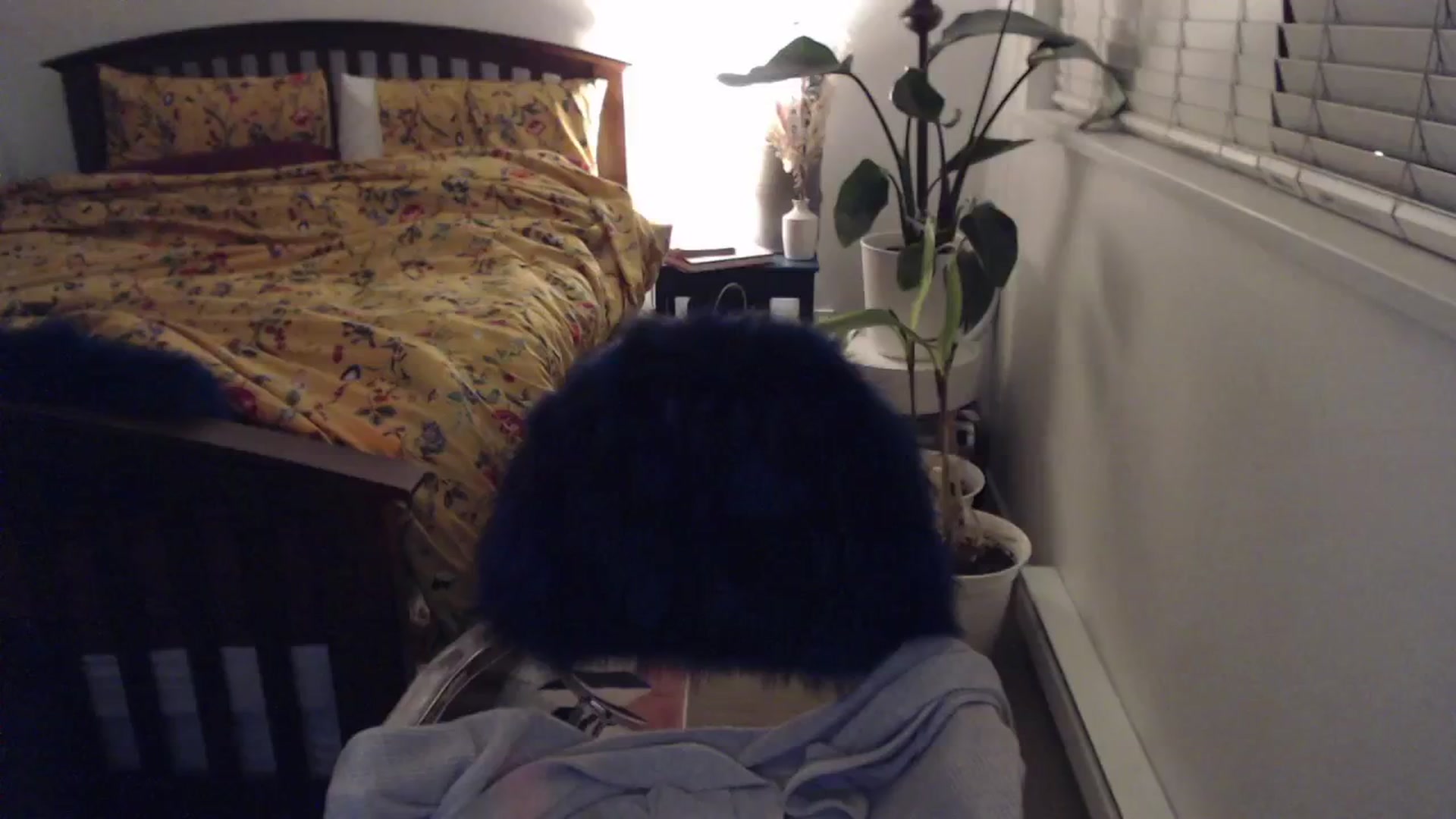 Gallery image thumbnail from AAAAAGHHHHHHH's myfreecams stream on, 02/01/2024, 06:12 image 13 of 20