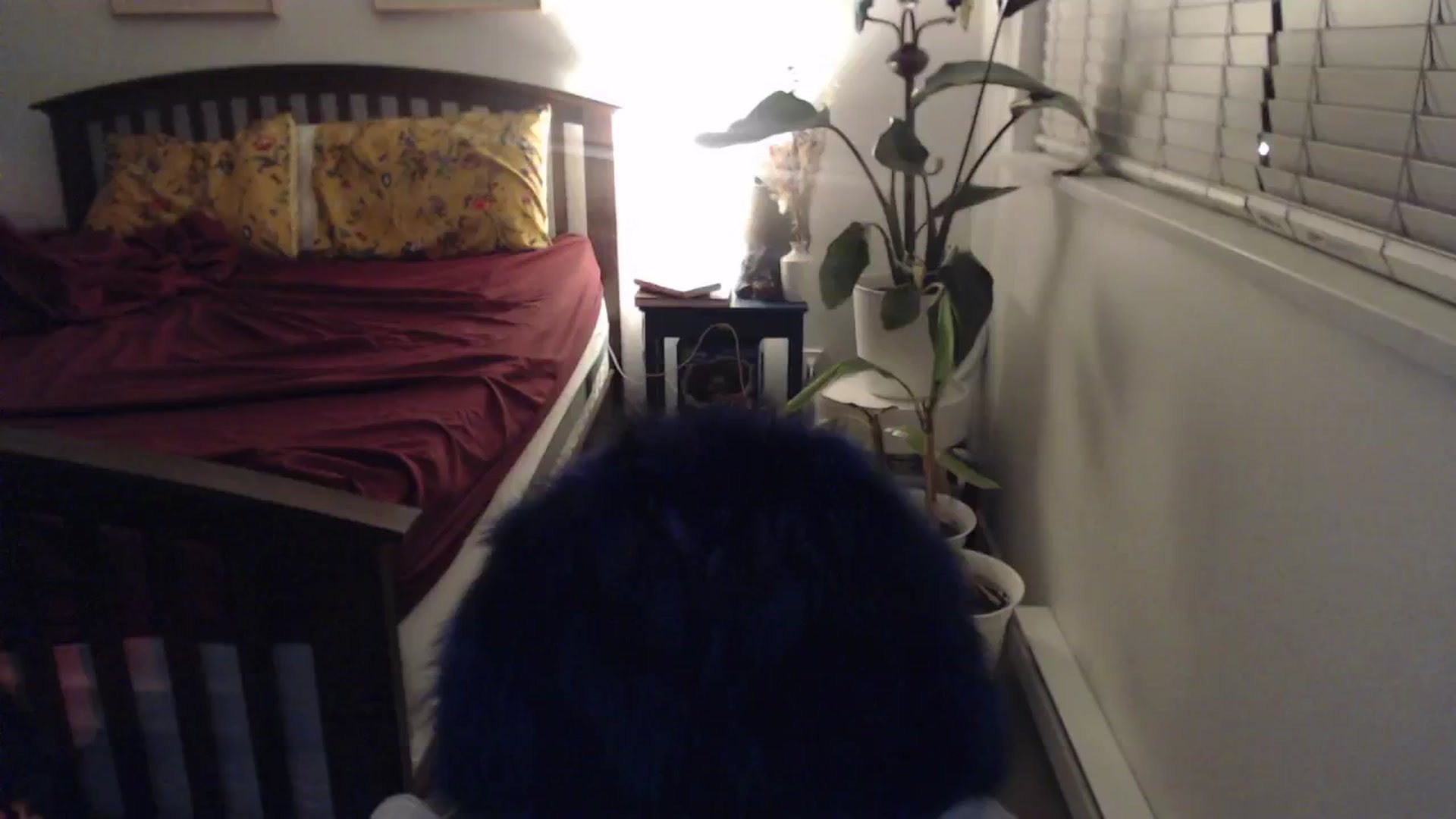 Gallery image thumbnail from AAAAAGHHHHHHH's myfreecams stream on, 03/03/2024, 03:13 image 6 of 20