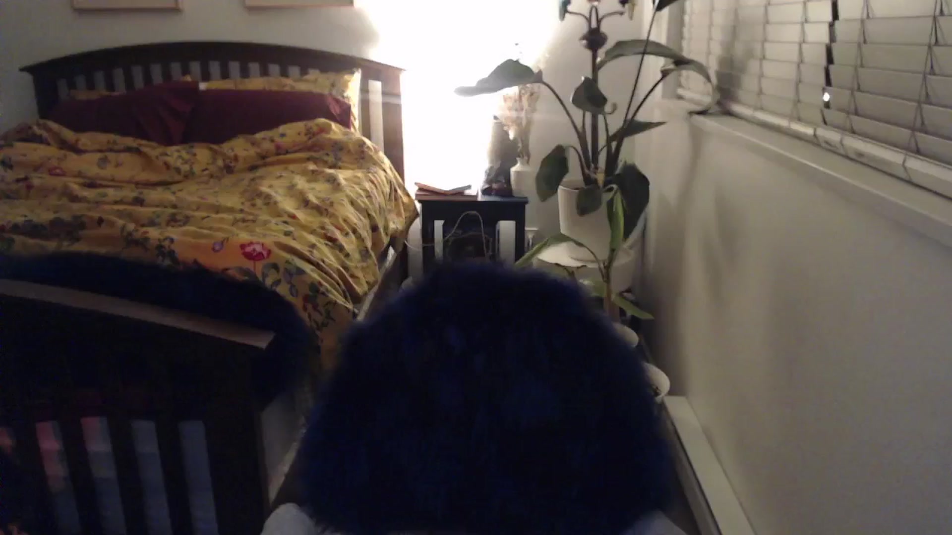 Gallery image thumbnail from AAAAAGHHHHHHH's myfreecams stream on, 03/03/2024, 03:13 image 19 of 20