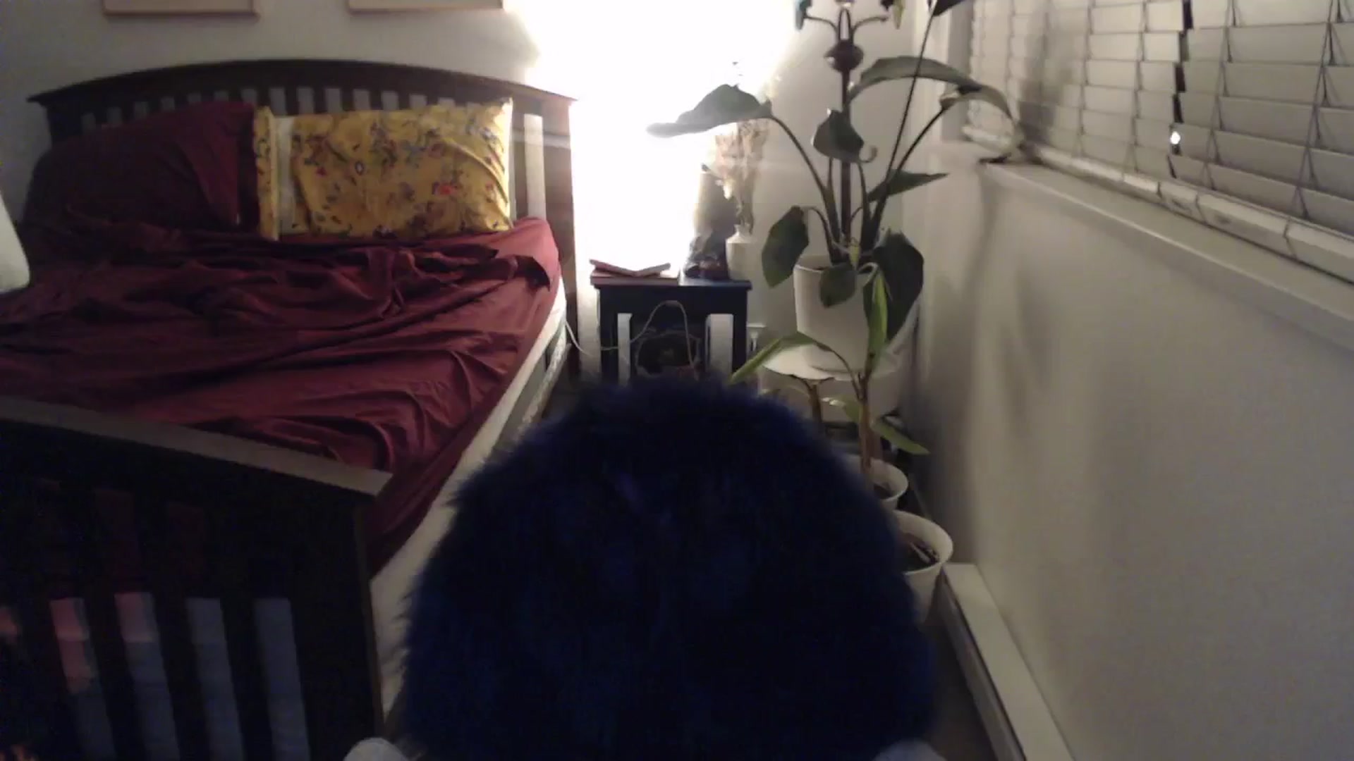 Gallery image thumbnail from AAAAAGHHHHHHH's myfreecams stream on, 03/03/2024, 03:13 image 8 of 20