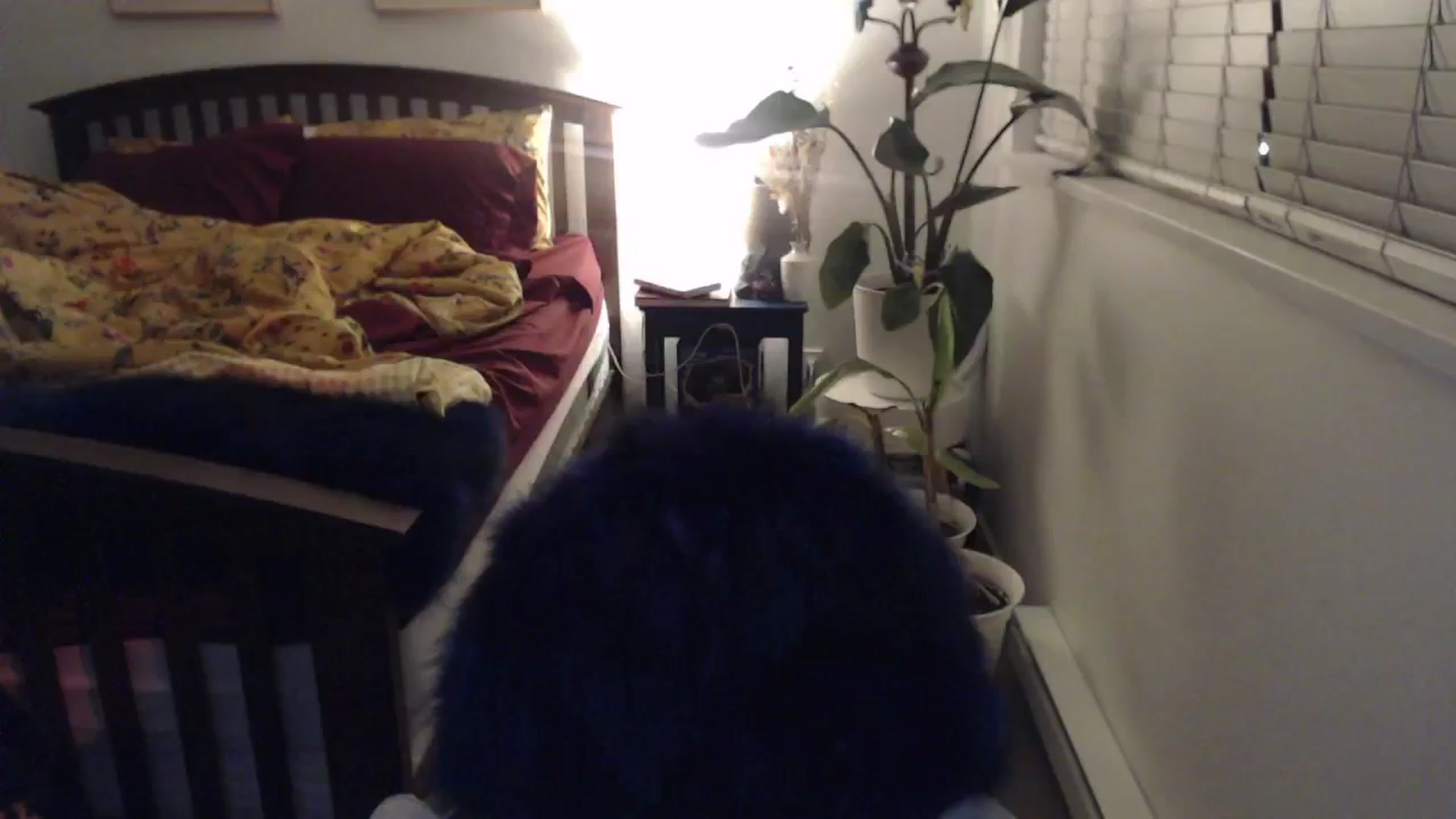 Gallery image thumbnail from AAAAAGHHHHHHH's myfreecams stream on, 03/03/2024, 03:13 image 11 of 20