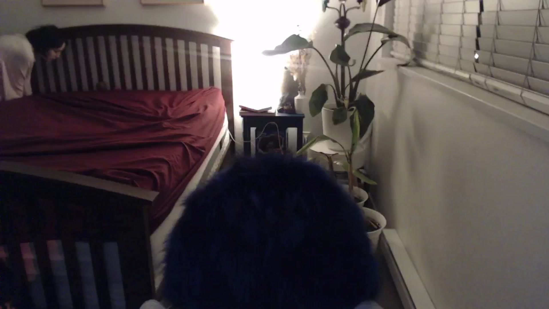 Gallery image thumbnail from AAAAAGHHHHHHH's myfreecams stream on, 03/03/2024, 03:13 image 5 of 20