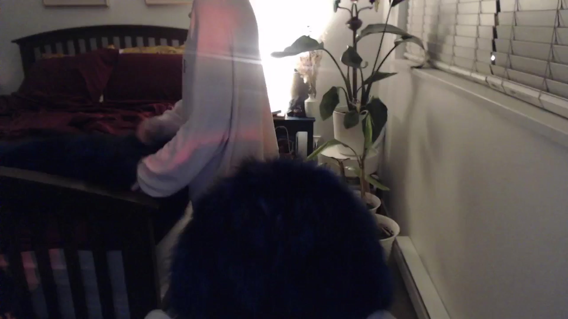 Gallery image thumbnail from AAAAAGHHHHHHH's myfreecams stream on, 03/03/2024, 03:13 image 10 of 20