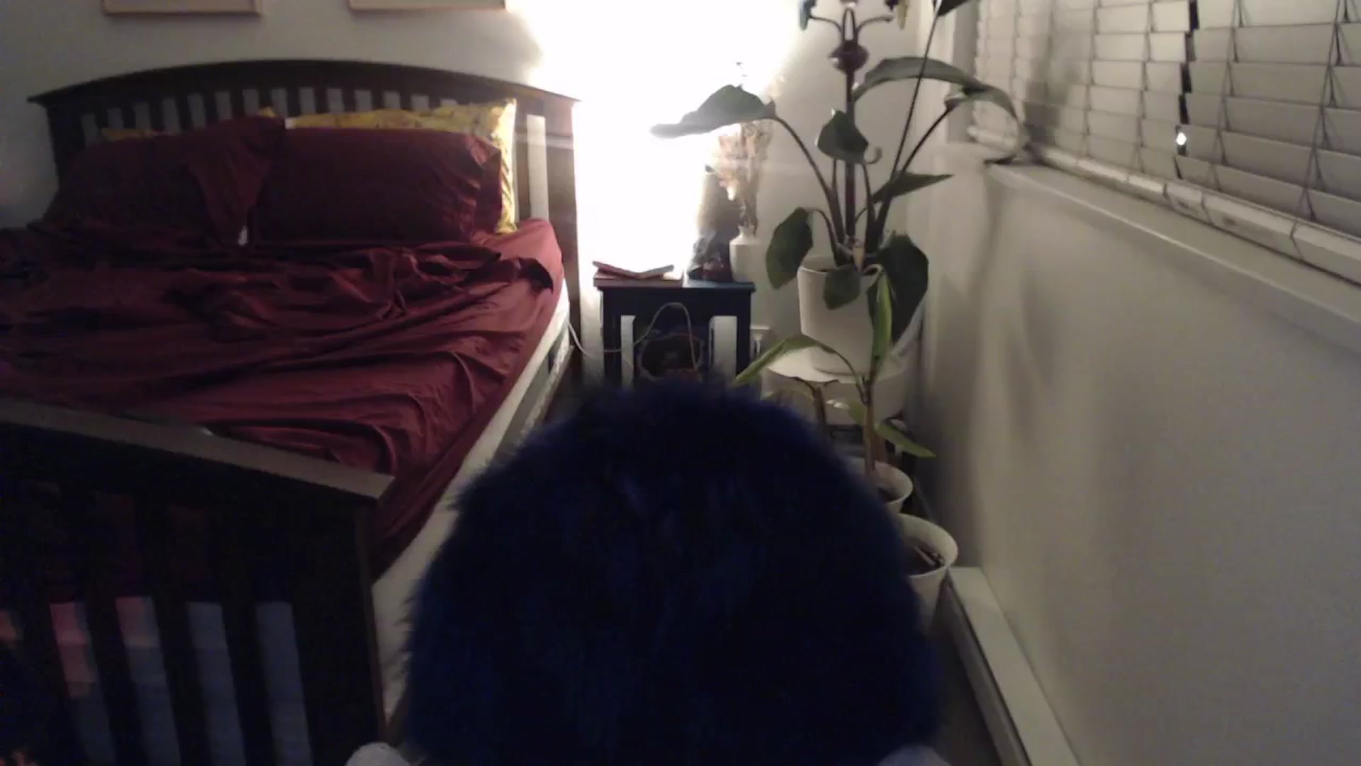 Gallery image thumbnail from AAAAAGHHHHHHH's myfreecams stream on, 03/03/2024, 03:13 image 9 of 20