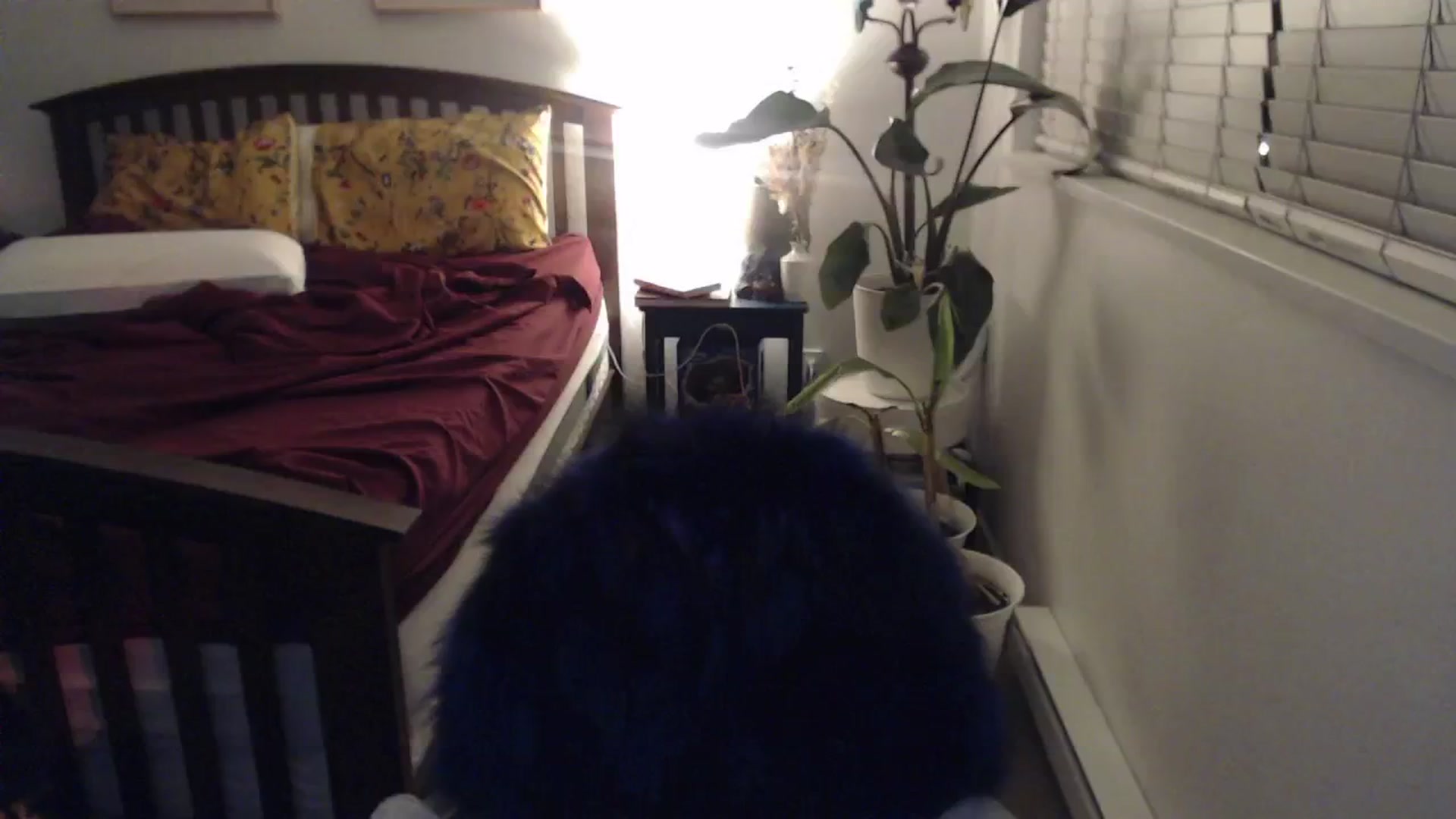Gallery image thumbnail from AAAAAGHHHHHHH's myfreecams stream on, 03/03/2024, 03:13 image 7 of 20