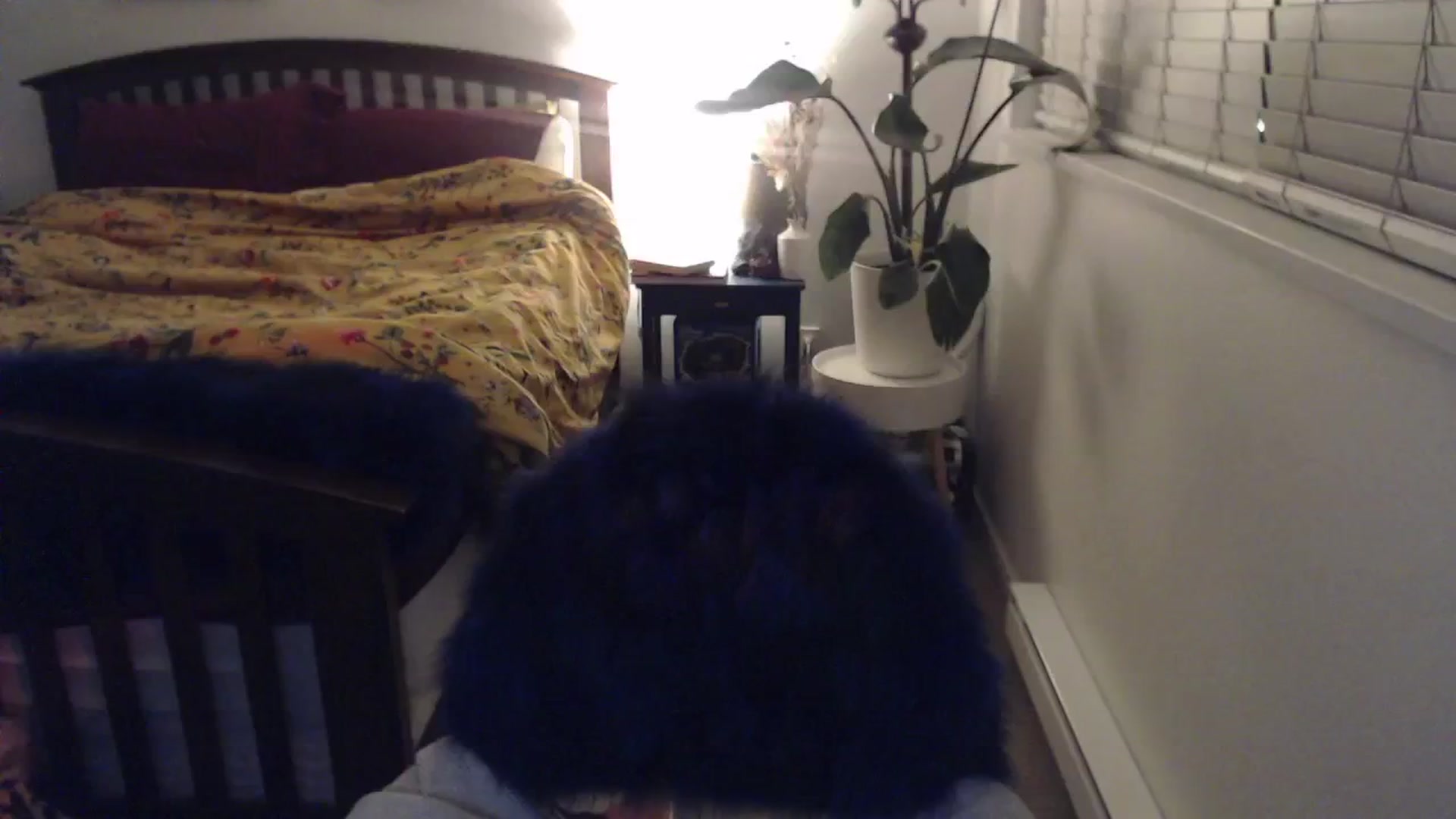 Gallery image thumbnail from AAAAAGHHHHHHH's myfreecams stream on, 03/06/2024, 04:12 image 2 of 20
