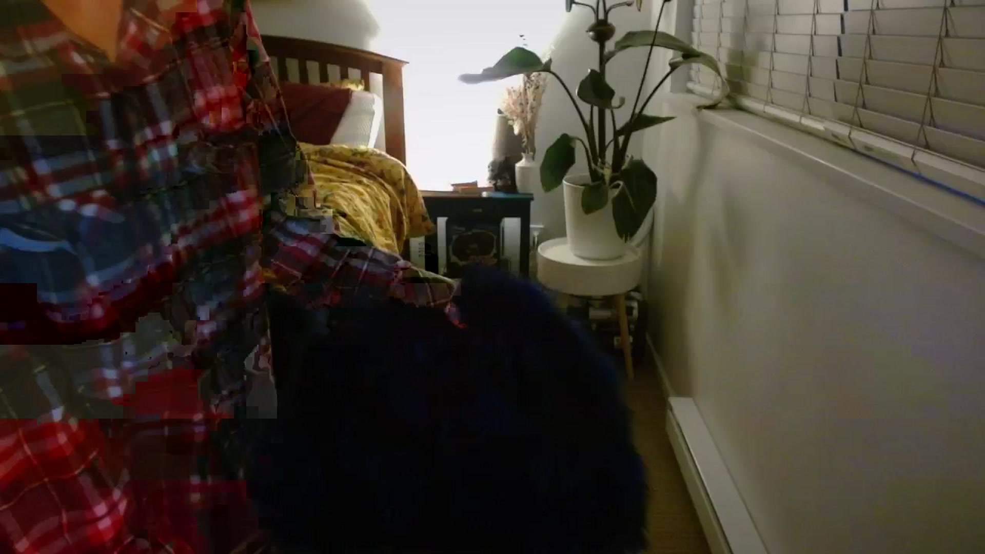 Gallery image thumbnail from AAAAAGHHHHHHH's myfreecams stream on, 03/12/2024, 04:55 image 5 of 20
