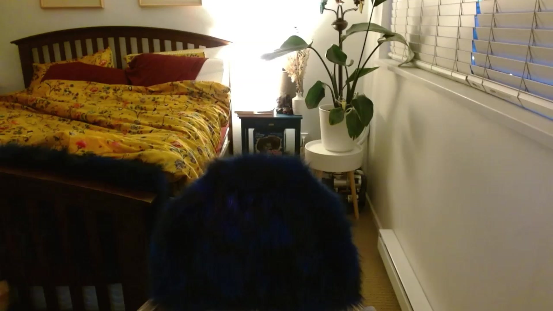 Gallery image thumbnail from AAAAAGHHHHHHH's myfreecams stream on, 03/26/2024, 05:35 image 2 of 20