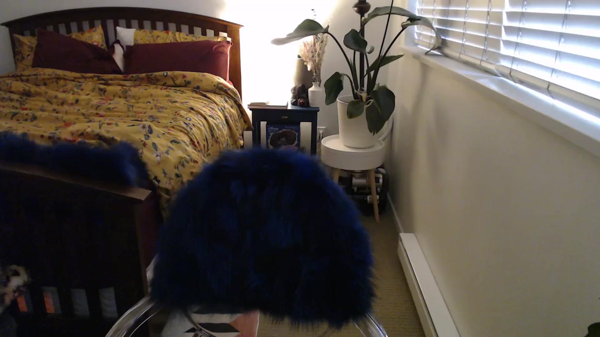 Gallery image thumbnail from AAAAAGHHHHHHH's myfreecams stream on, 04/08/2024, 03:41 image 1 of 20
