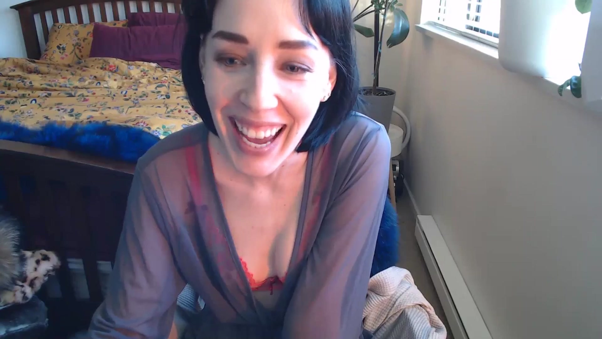 Gallery image thumbnail from AAAAAGHHHHHHH's myfreecams stream on, 04/22/2024, 04:23 image 5 of 20