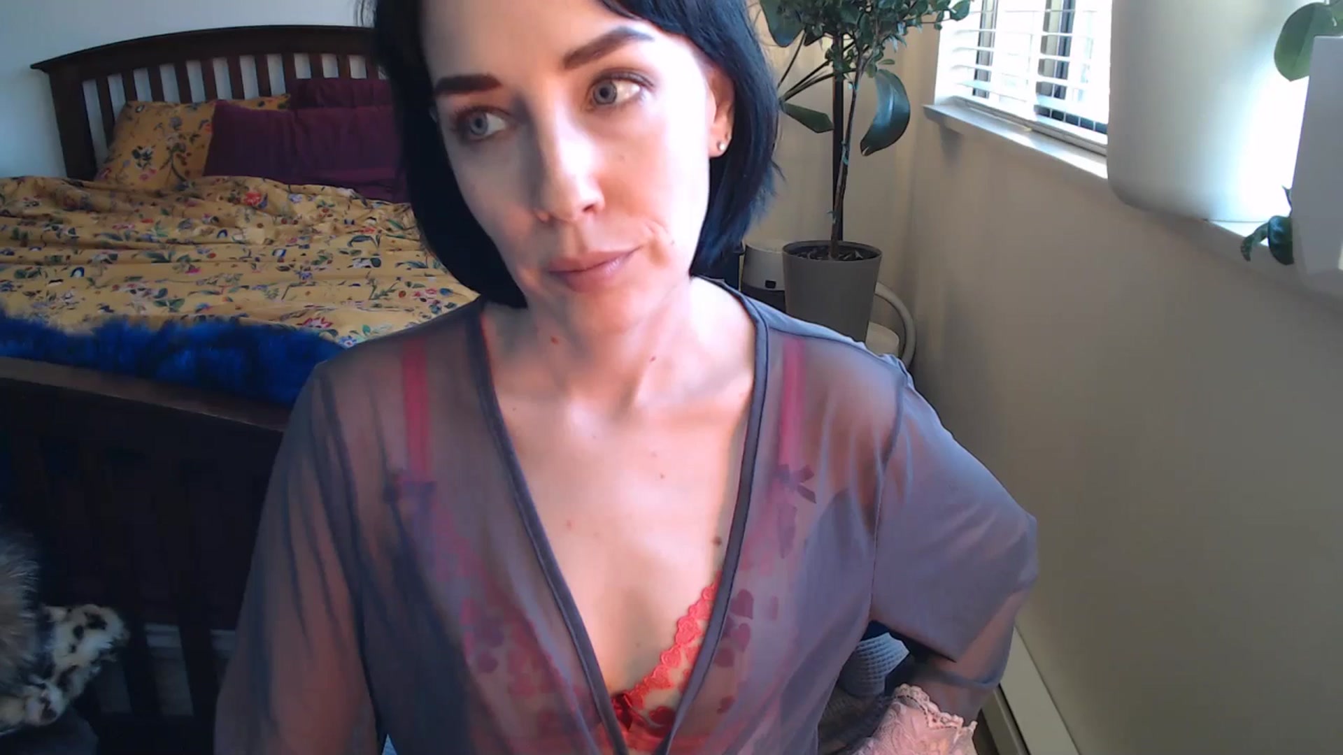 Gallery image thumbnail from AAAAAGHHHHHHH's myfreecams stream on, 04/22/2024, 04:23 image 8 of 20