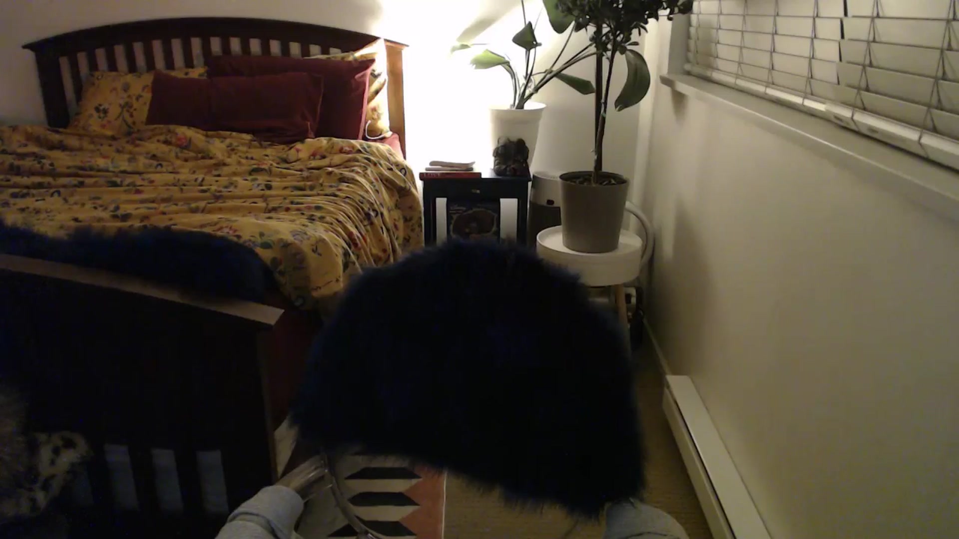 Gallery image thumbnail from AAAAAGHHHHHHH's myfreecams stream on, 04/22/2024, 04:23 image 18 of 20