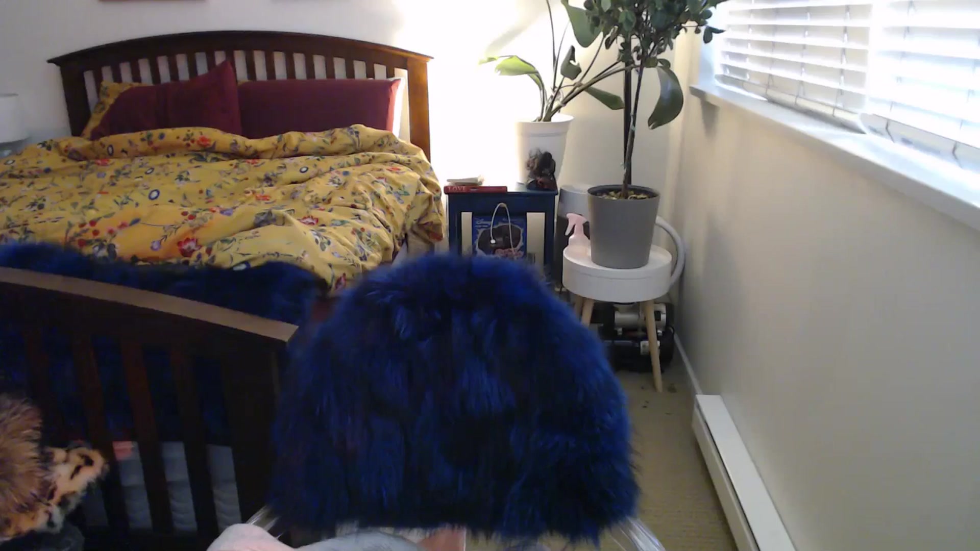 Gallery image thumbnail from AAAAAGHHHHHHH's myfreecams stream on, 04/29/2024, 02:34 image 11 of 20