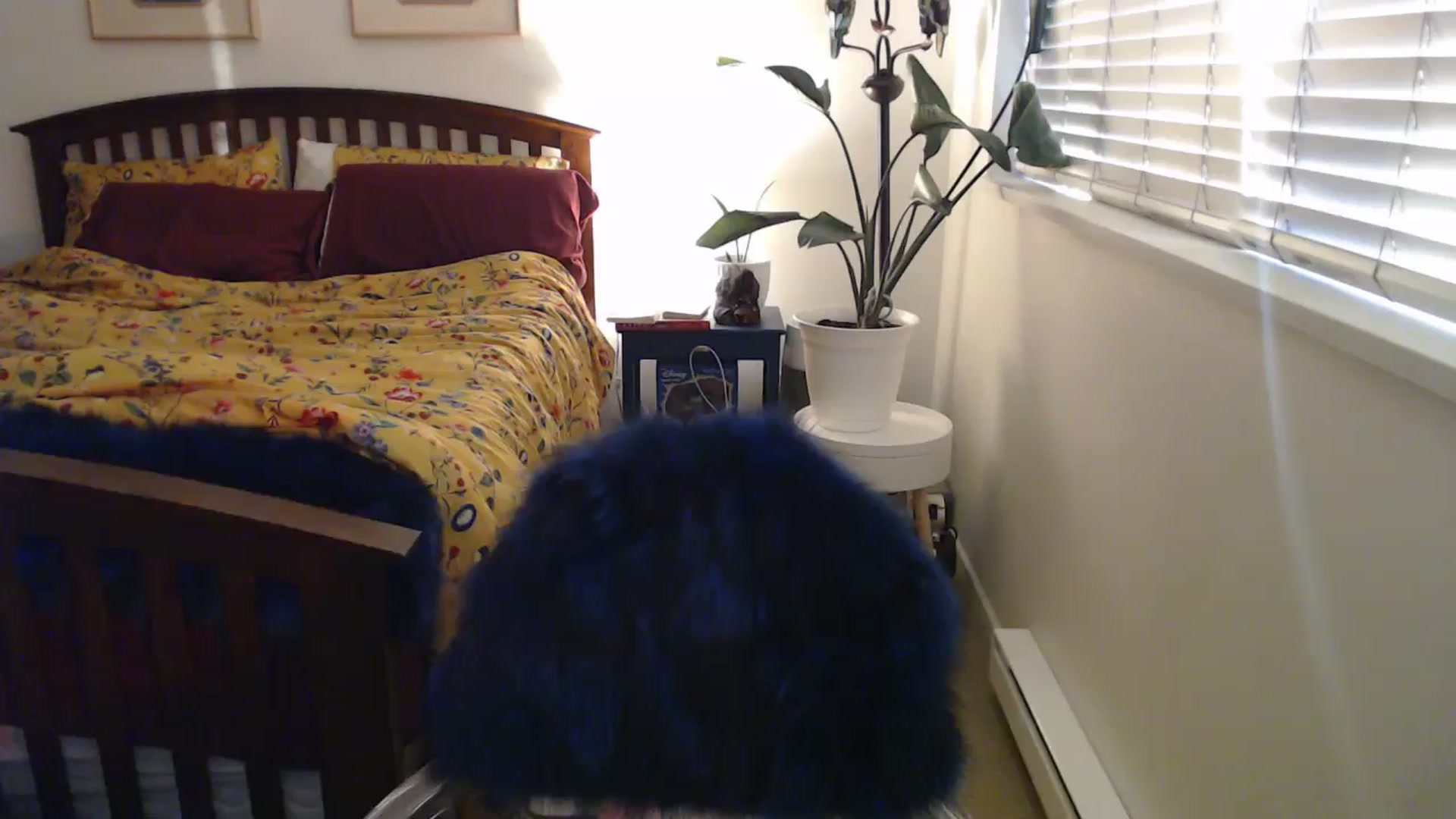 Gallery image thumbnail from AAAAAGHHHHHHH's myfreecams stream on, 05/13/2024, 04:11 image 14 of 20