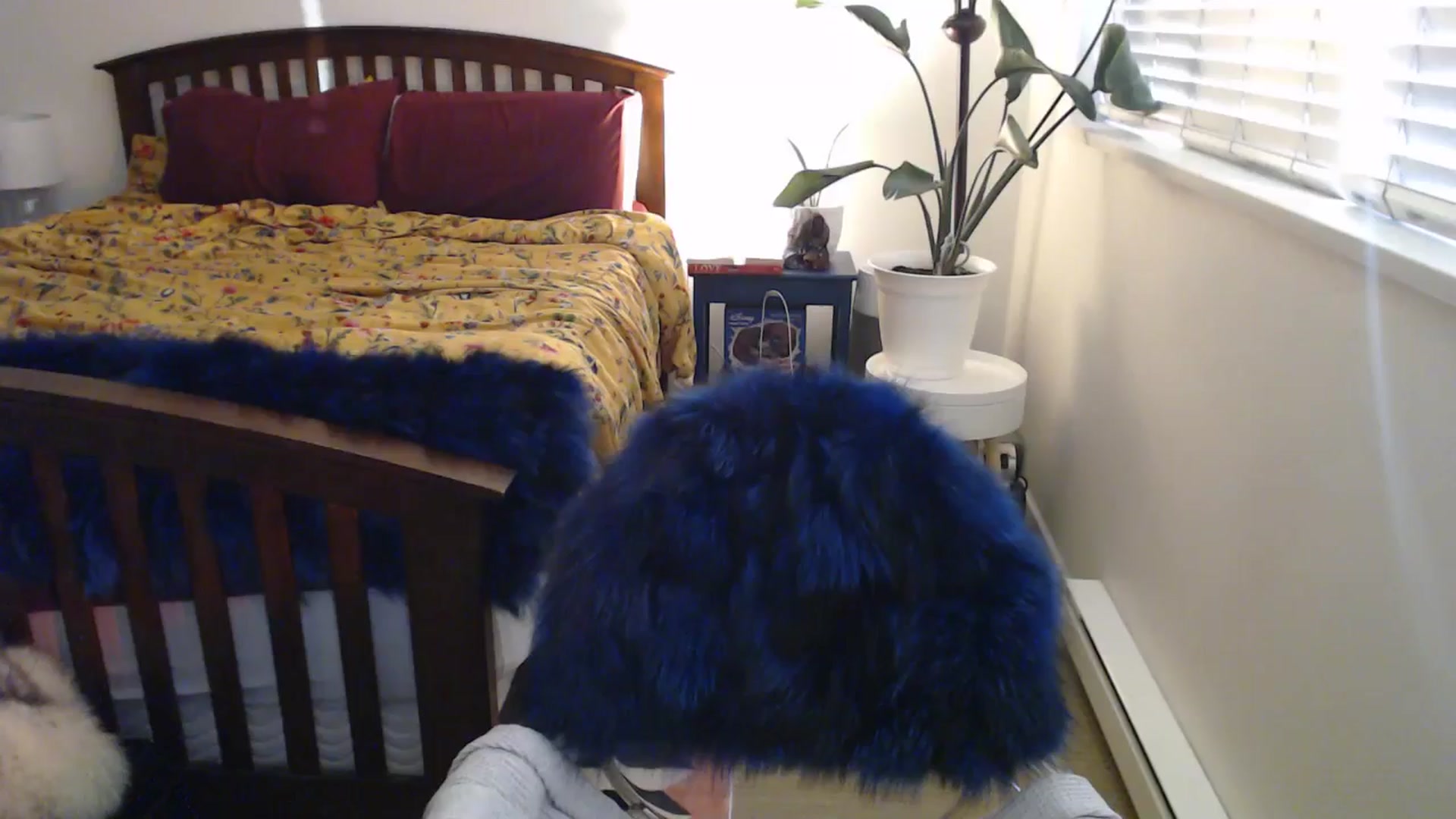 Gallery image thumbnail from AAAAAGHHHHHHH's myfreecams stream on, 05/17/2024, 03:44 image 14 of 20