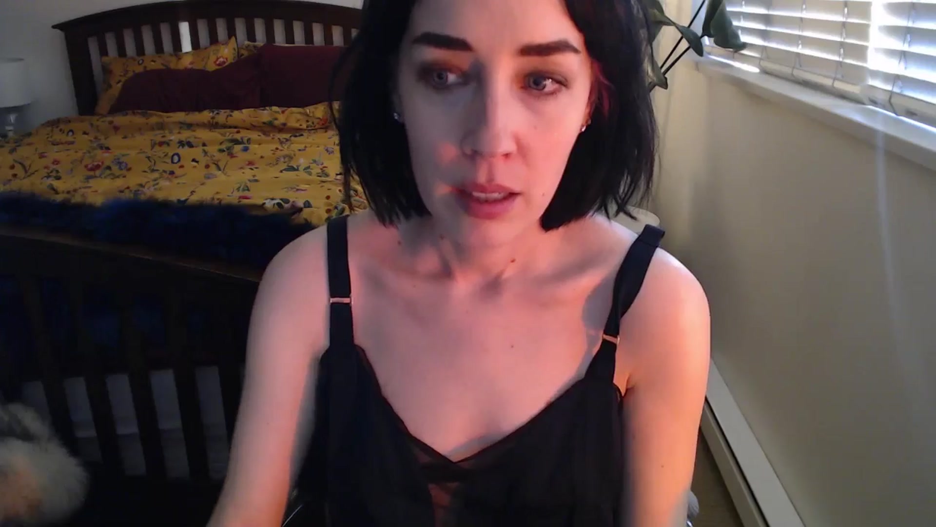 Gallery image thumbnail from AAAAAGHHHHHHH's myfreecams stream on, 05/20/2024, 04:22 image 13 of 20