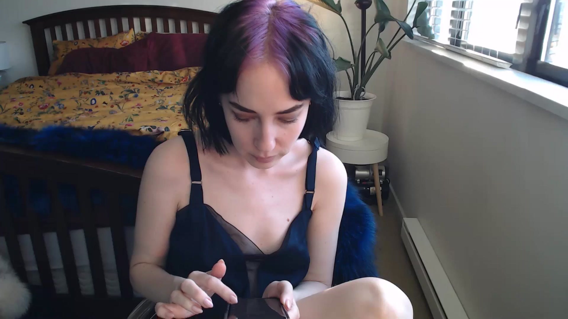 Gallery image thumbnail from AAAAAGHHHHHHH's myfreecams stream on, 05/20/2024, 04:22 image 11 of 20