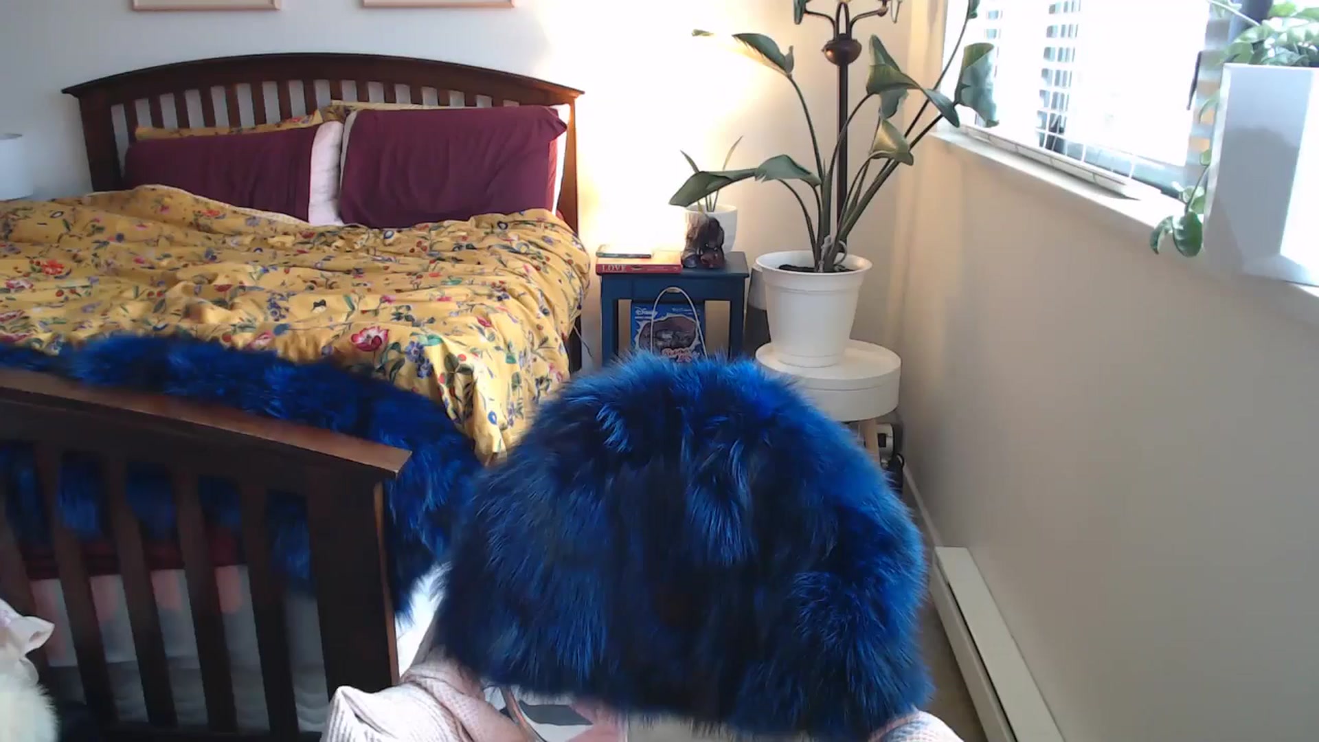 Gallery image thumbnail from AAAAAGHHHHHHH's myfreecams stream on, 05/29/2024, 02:09 image 20 of 20
