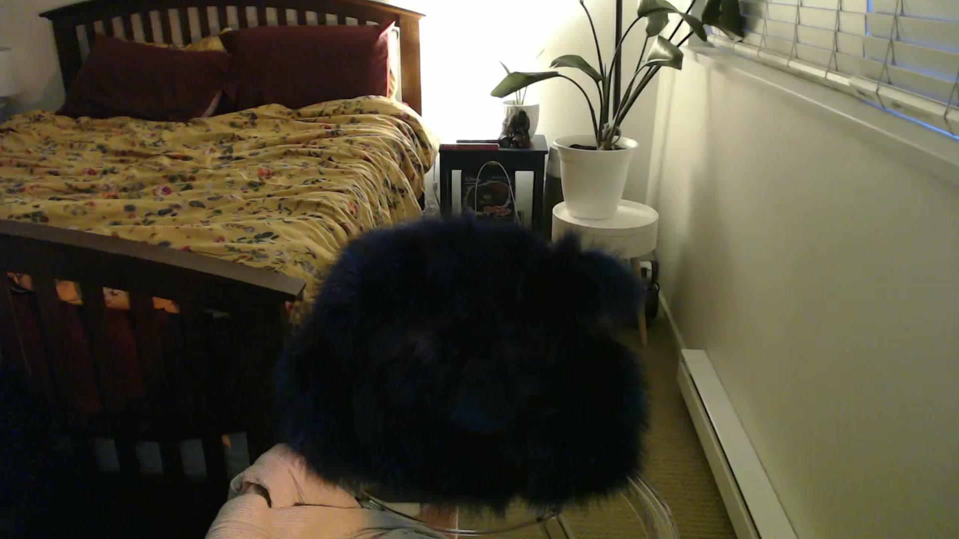 Gallery image thumbnail from AAAAAGHHHHHHH's myfreecams stream on, 06/04/2024, 04:35 image 17 of 20