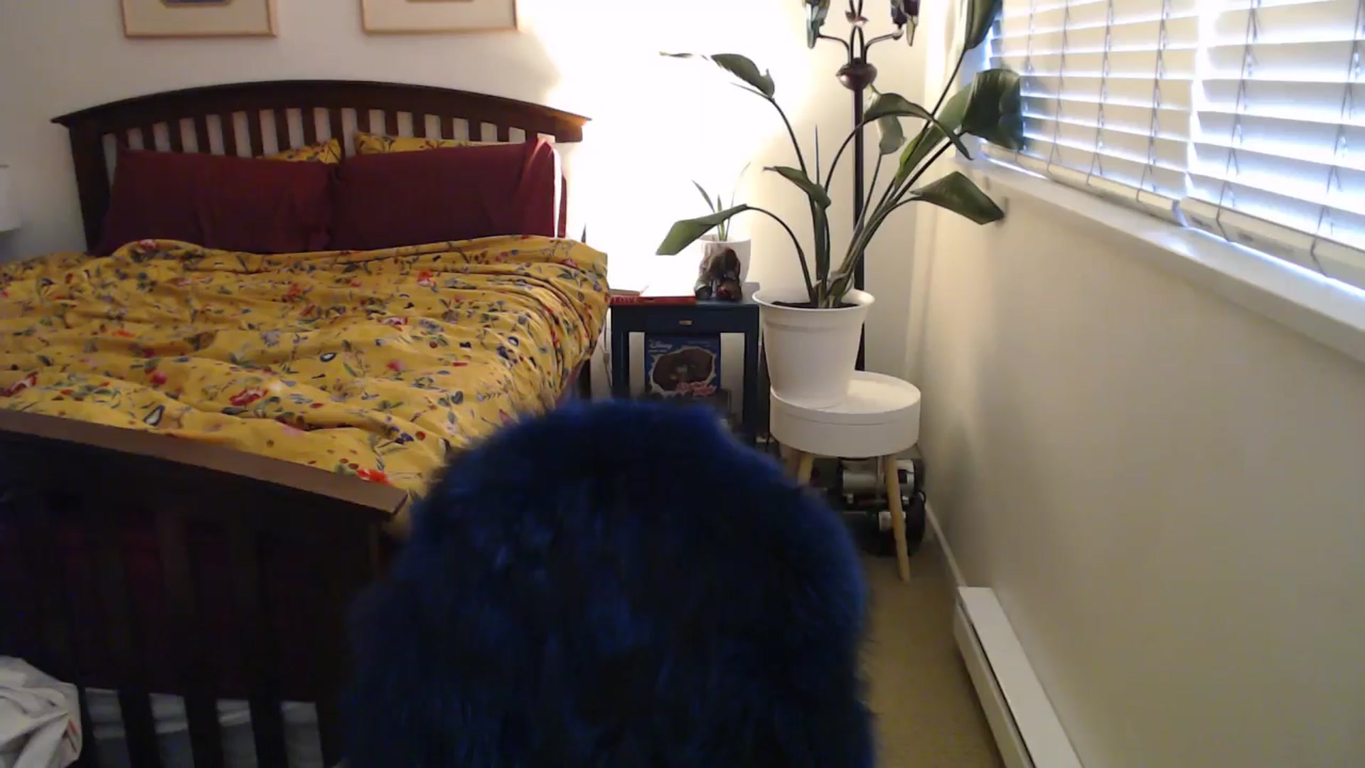 Gallery image thumbnail from AAAAAGHHHHHHH's myfreecams stream on, 06/25/2024, 04:02 image 18 of 20