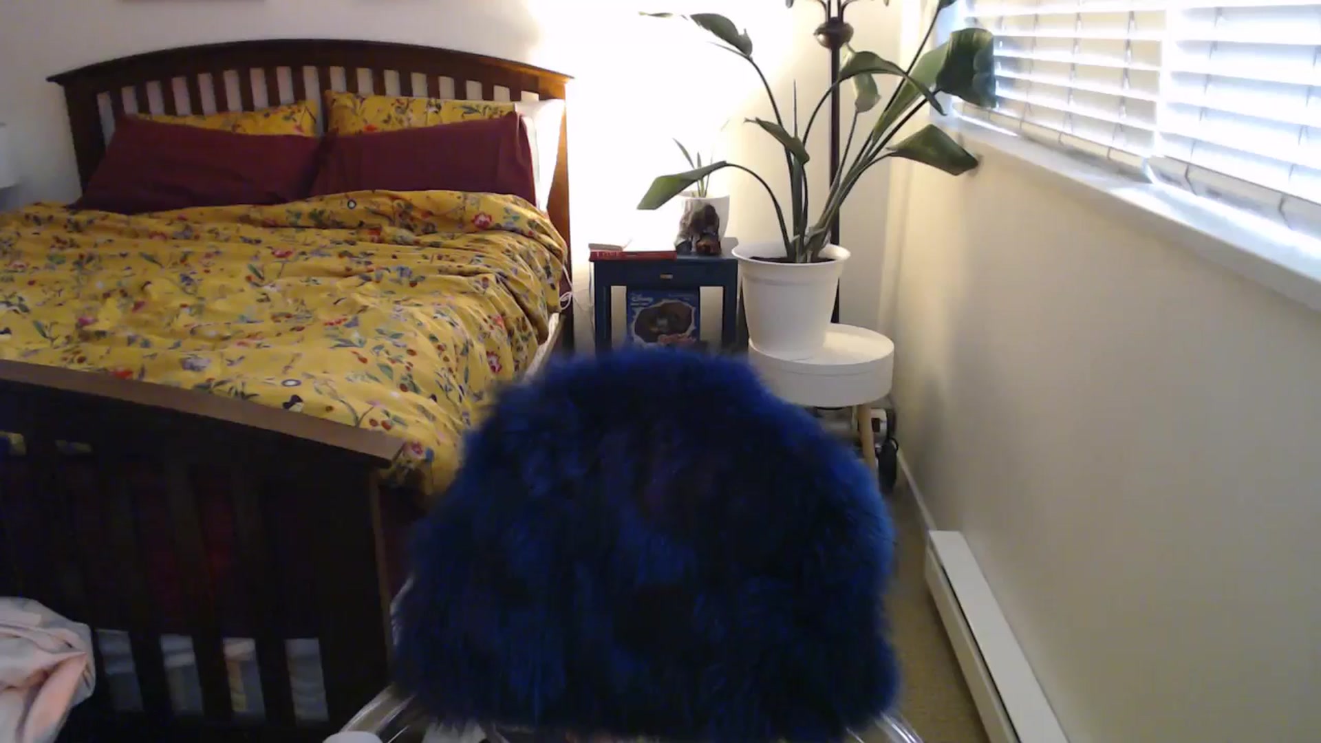 Gallery image thumbnail from AAAAAGHHHHHHH's myfreecams stream on, 06/26/2024, 04:33 image 11 of 20