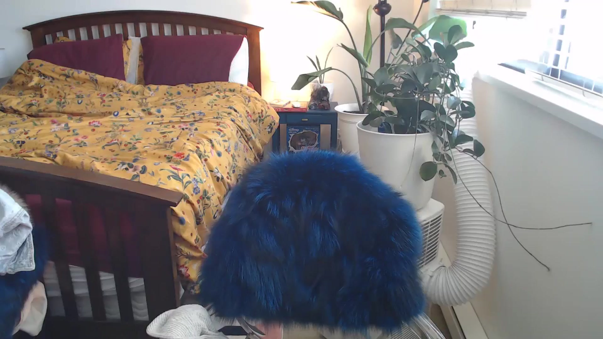 Gallery image thumbnail from AAAAAGHHHHHHH's myfreecams stream on, 07/15/2024, 02:20 image 11 of 20