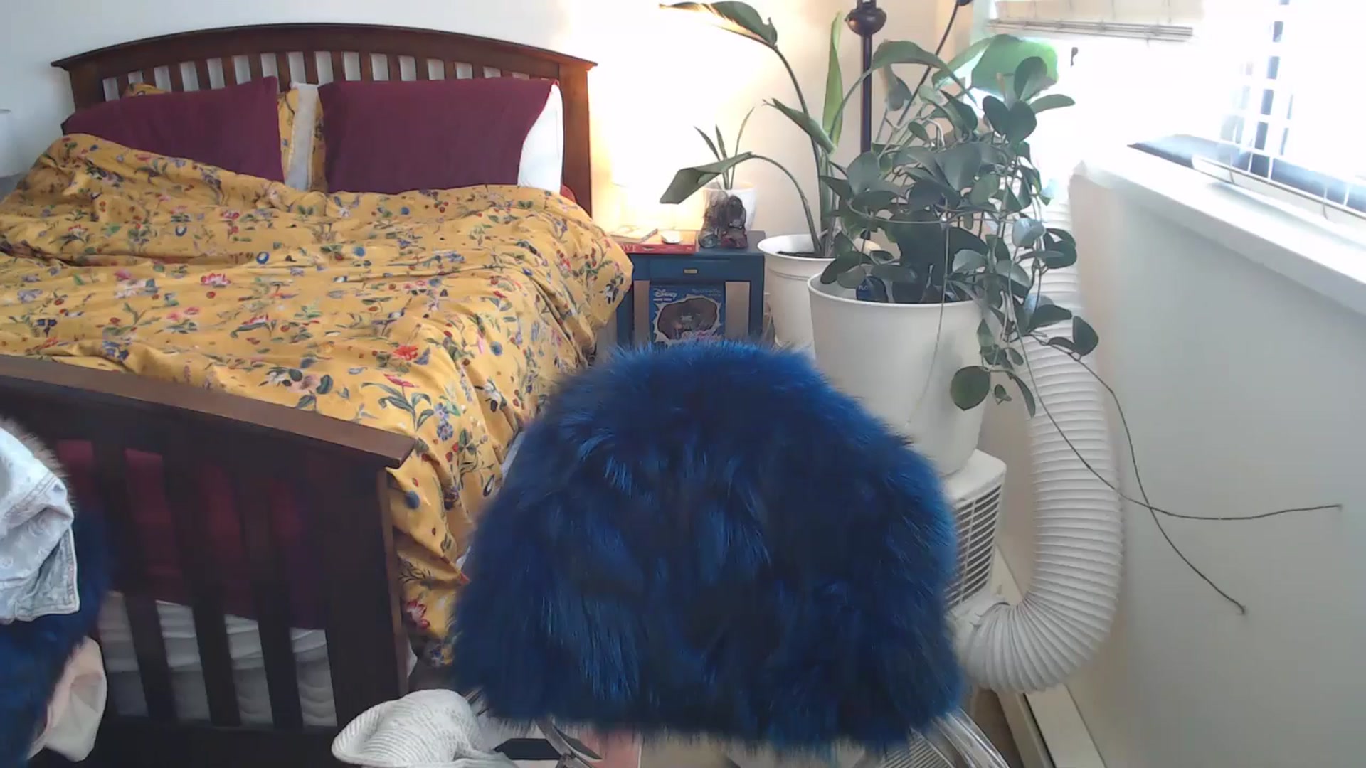 Gallery image thumbnail from AAAAAGHHHHHHH's myfreecams stream on, 07/15/2024, 02:20 image 10 of 20