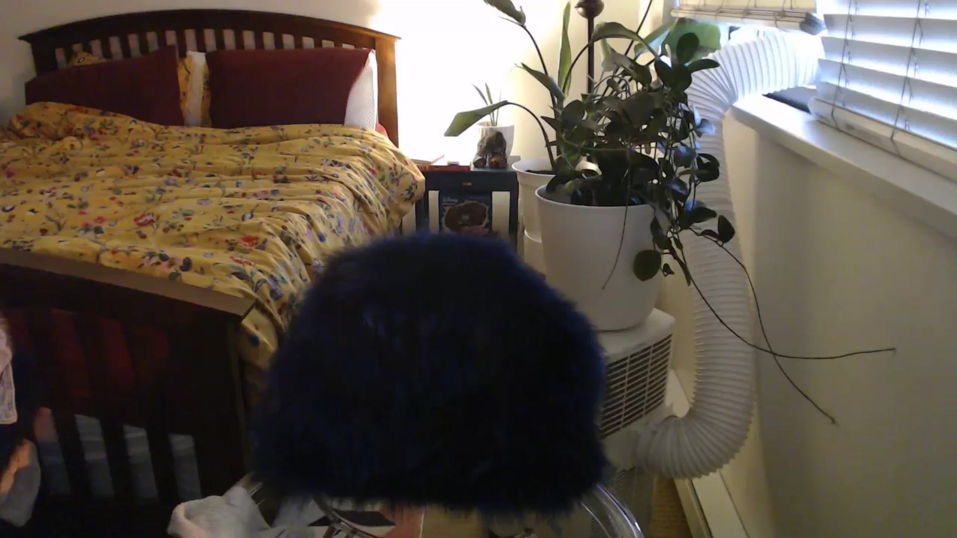 Gallery image thumbnail from AAAAAGHHHHHHH's myfreecams stream on, 07/15/2024, 04:14 image 19 of 20