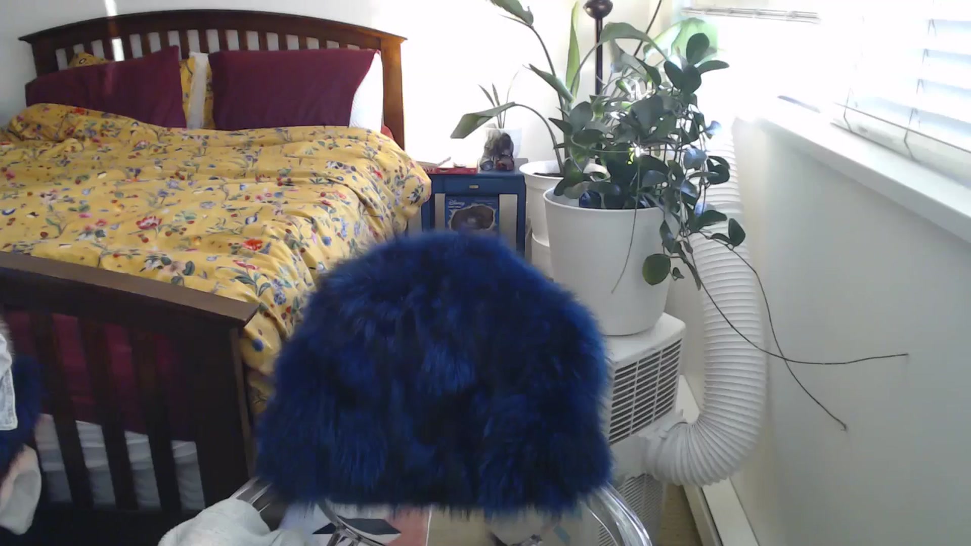 Gallery image thumbnail from AAAAAGHHHHHHH's myfreecams stream on, 07/15/2024, 04:14 image 7 of 20