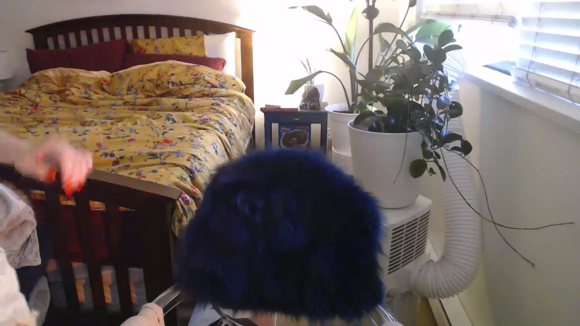 Gallery image thumbnail from AAAAAGHHHHHHH's myfreecams stream on, 07/19/2024, 04:01 image 4 of 20