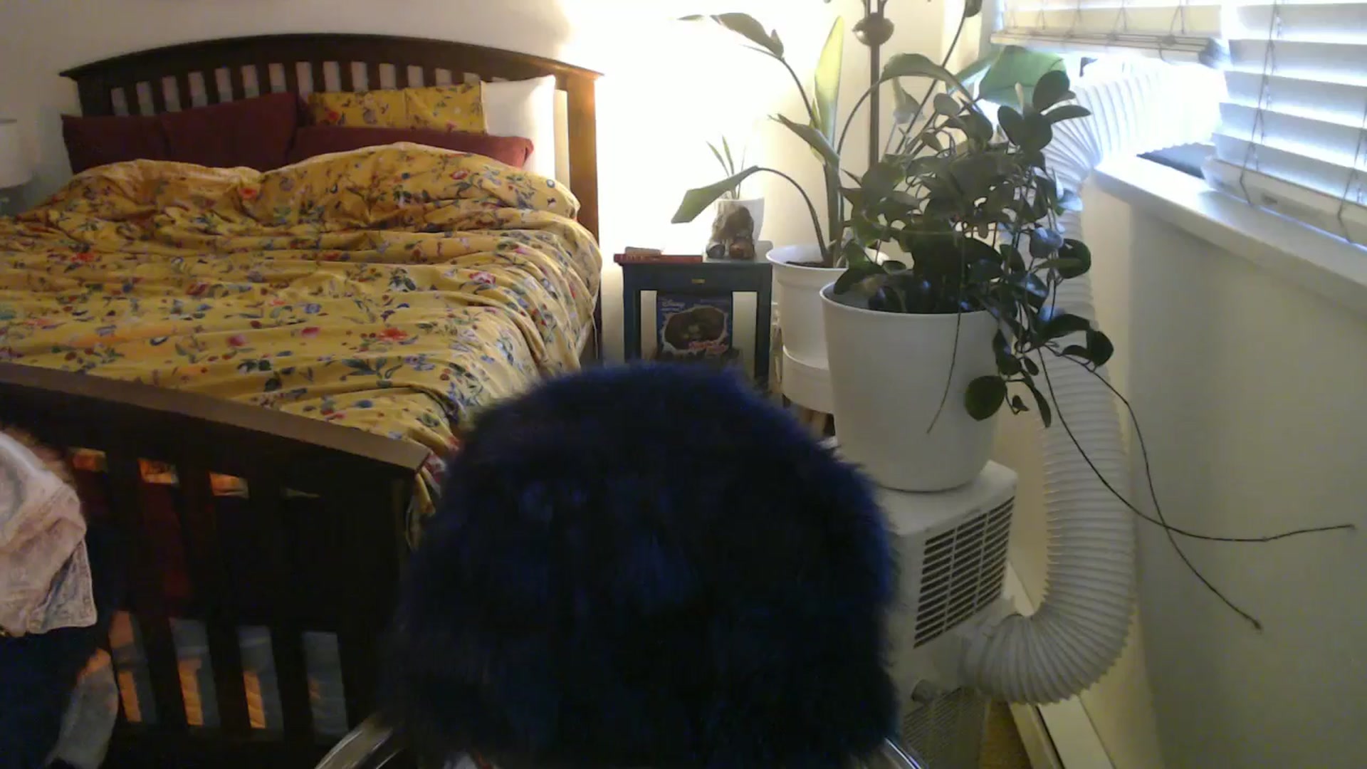 Gallery image thumbnail from AAAAAGHHHHHHH's myfreecams stream on, 07/19/2024, 04:01 image 14 of 20