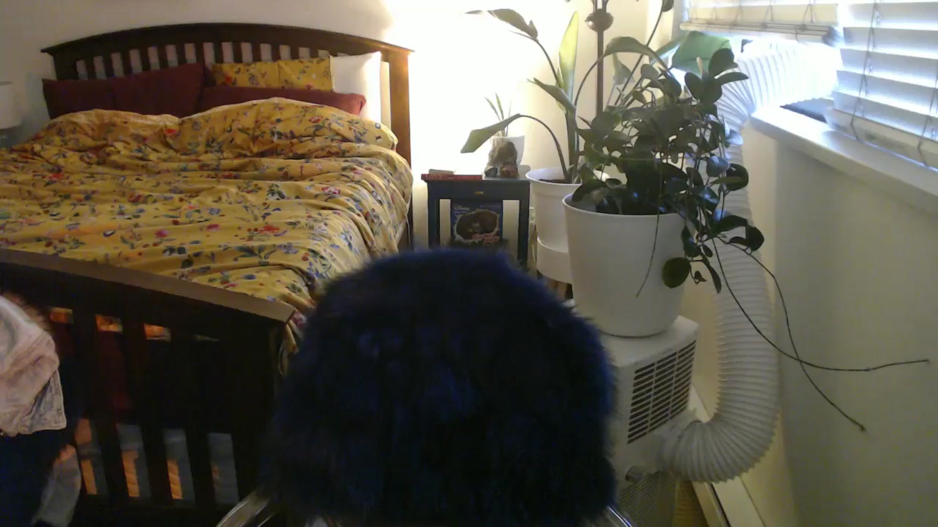 Gallery image thumbnail from AAAAAGHHHHHHH's myfreecams stream on, 07/19/2024, 04:01 image 15 of 20