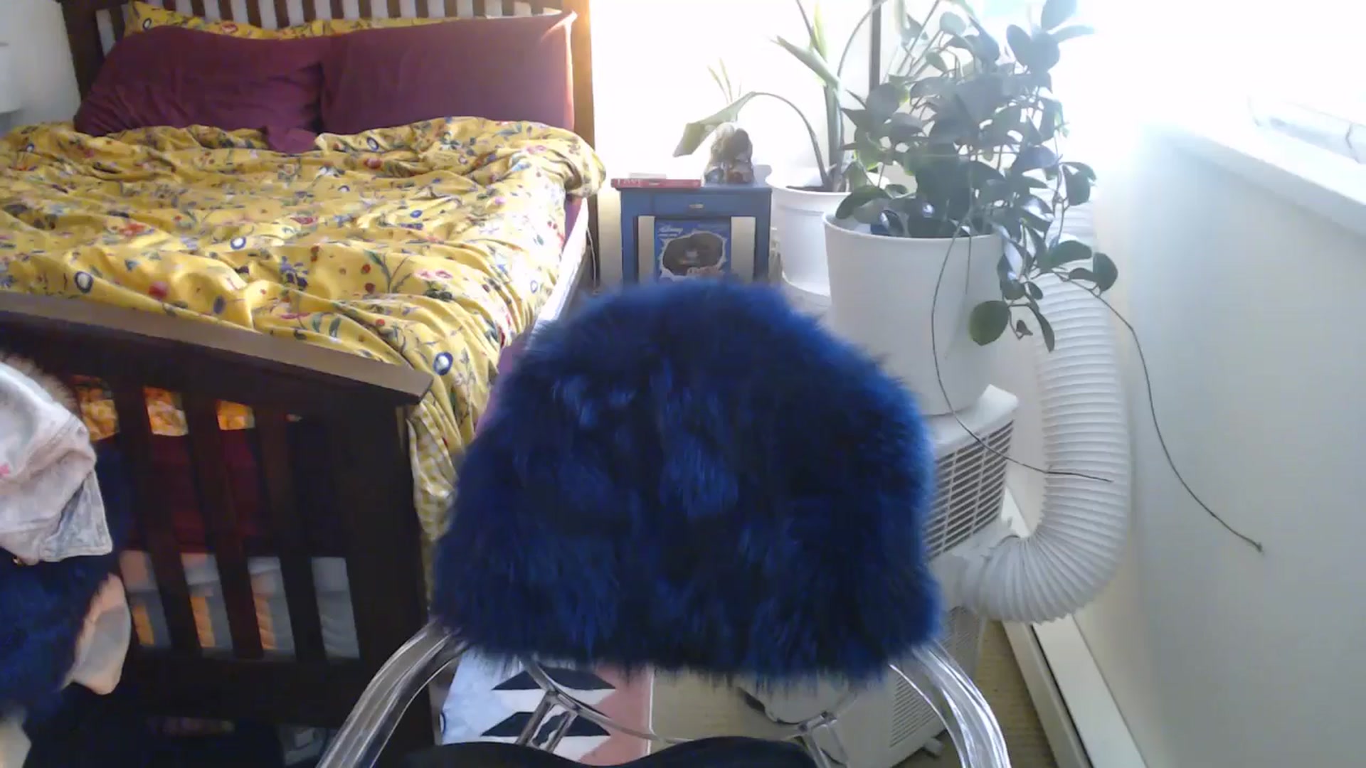Gallery image thumbnail from AAAAAGHHHHHHH's myfreecams stream on, 07/22/2024, 02:49 image 12 of 20