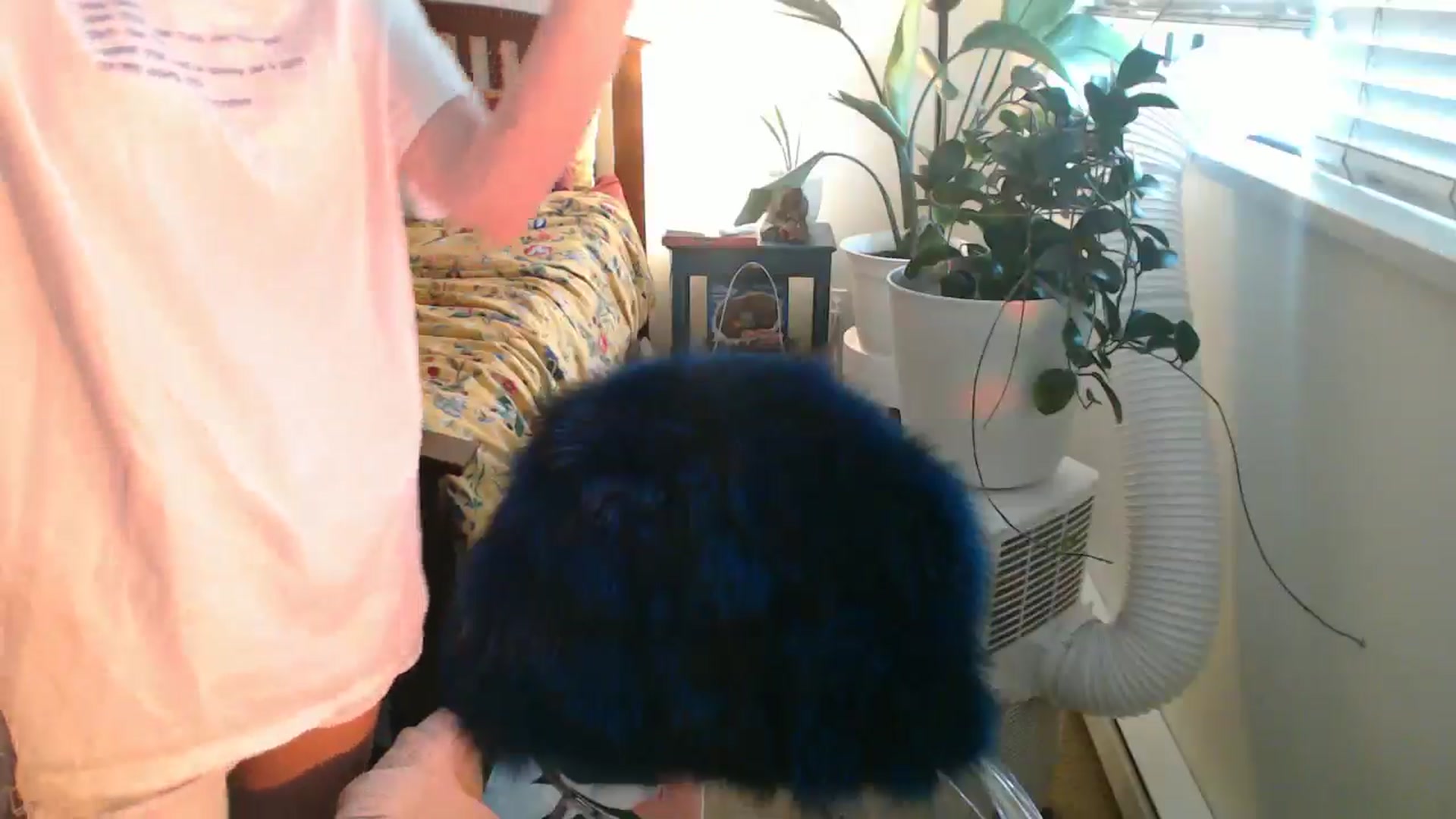 Gallery image thumbnail from AAAAAGHHHHHHH's myfreecams stream on, 07/27/2024, 03:48 image 10 of 20