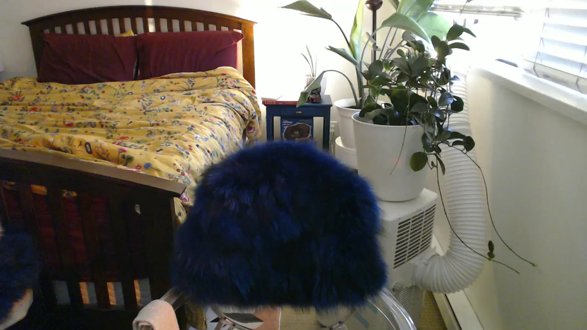 Gallery image thumbnail from AAAAAGHHHHHHH's myfreecams stream on, 08/06/2024, 03:47 image 13 of 20