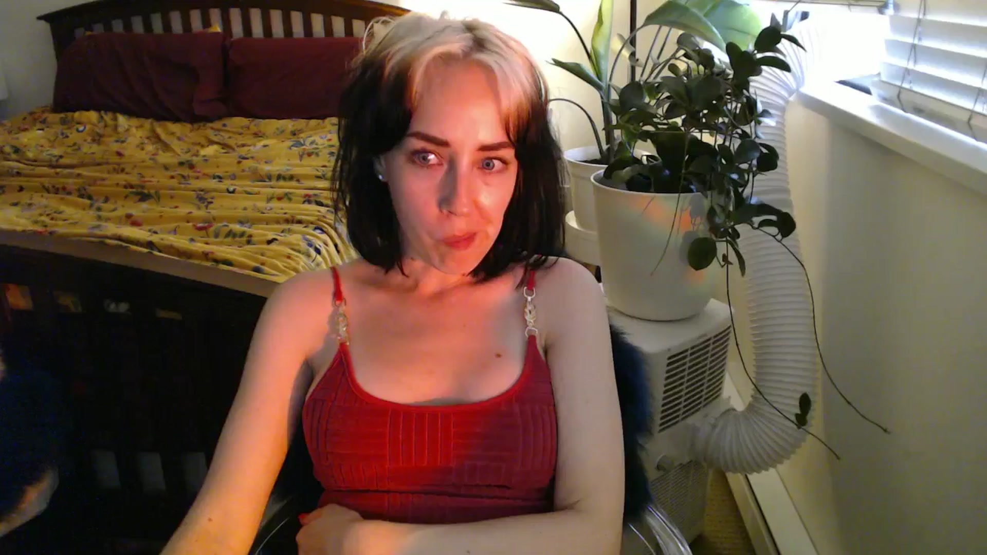 Gallery image thumbnail from AAAAAGHHHHHHH's myfreecams stream on, 08/09/2024, 04:57 image 10 of 20