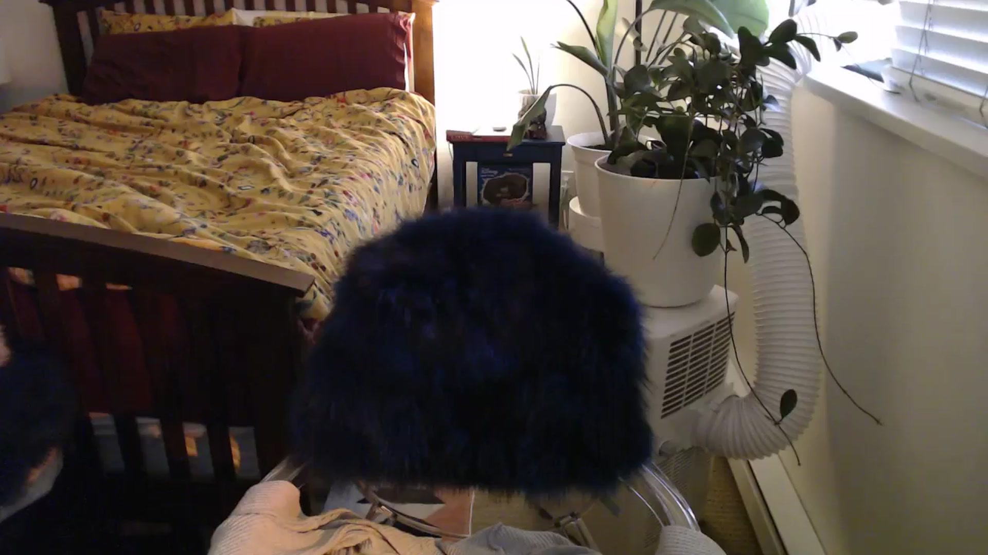 Gallery image thumbnail from AAAAAGHHHHHHH's myfreecams stream on, 08/14/2024, 02:59 image 19 of 20