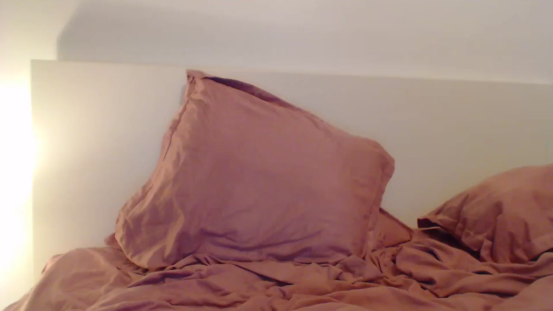 Gallery image thumbnail from AAAAVAAAA's myfreecams stream on, 08/14/2023, 22:47 image 11 of 20