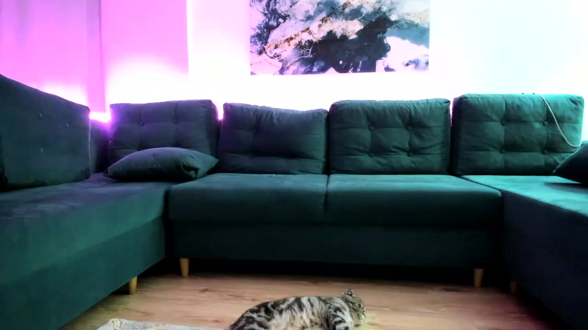 Gallery image thumbnail from AAA_Yas's myfreecams stream on, 12/03/2022, 23:02 image 10 of 20