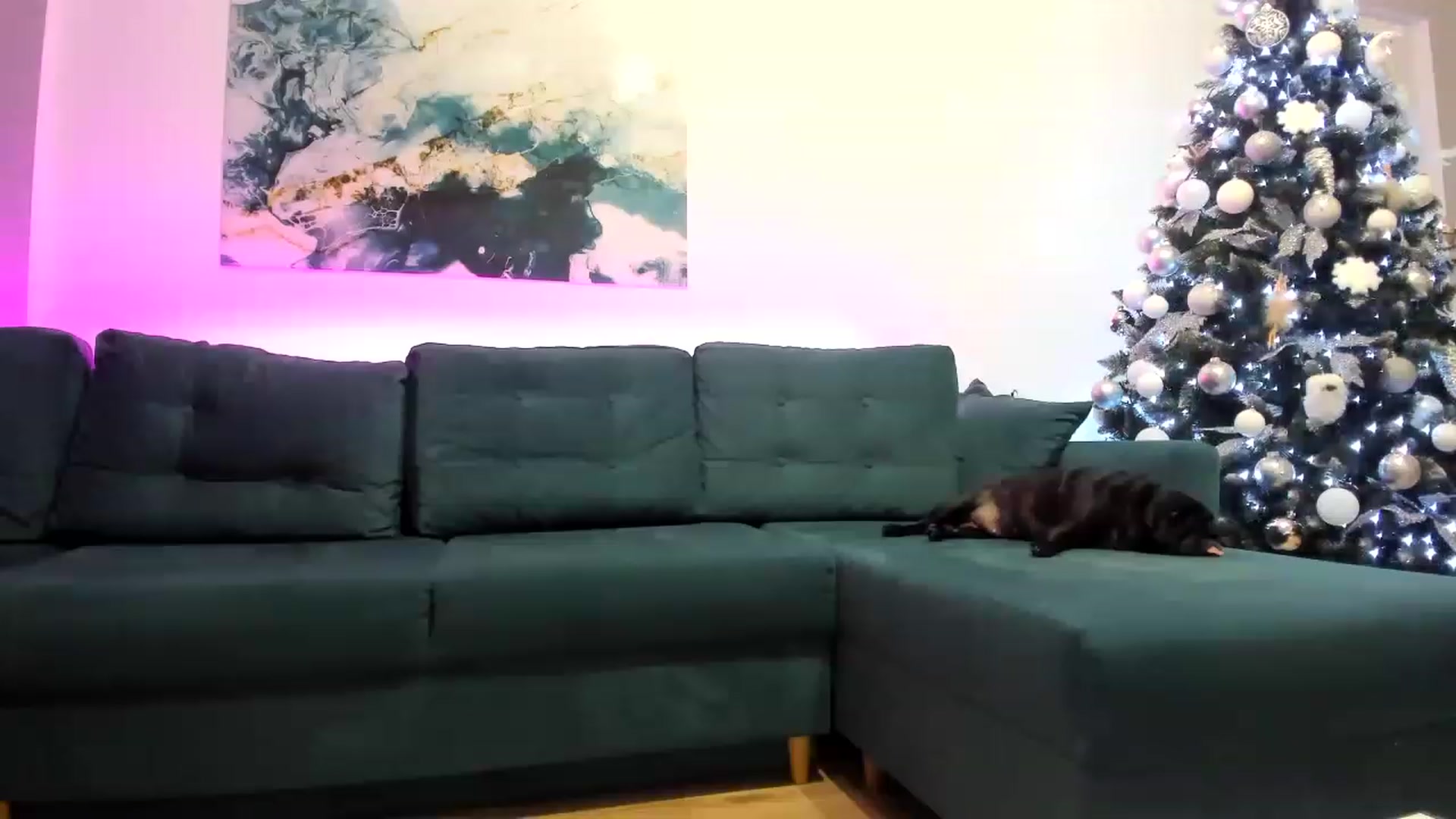 Gallery image thumbnail from AAA_Yas's myfreecams stream on, 12/20/2022, 21:28 image 10 of 20