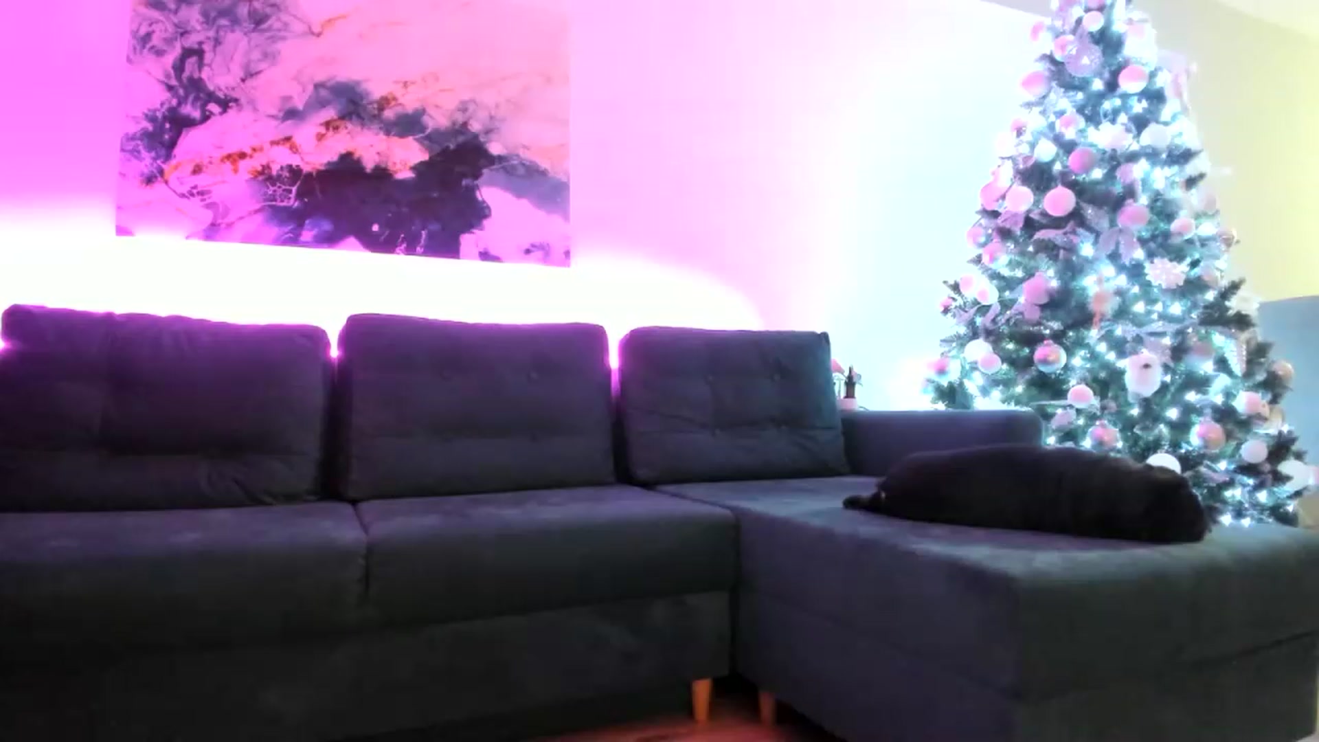 Gallery image thumbnail from AAA_Yas's myfreecams stream on, 12/26/2022, 19:22 image 19 of 20