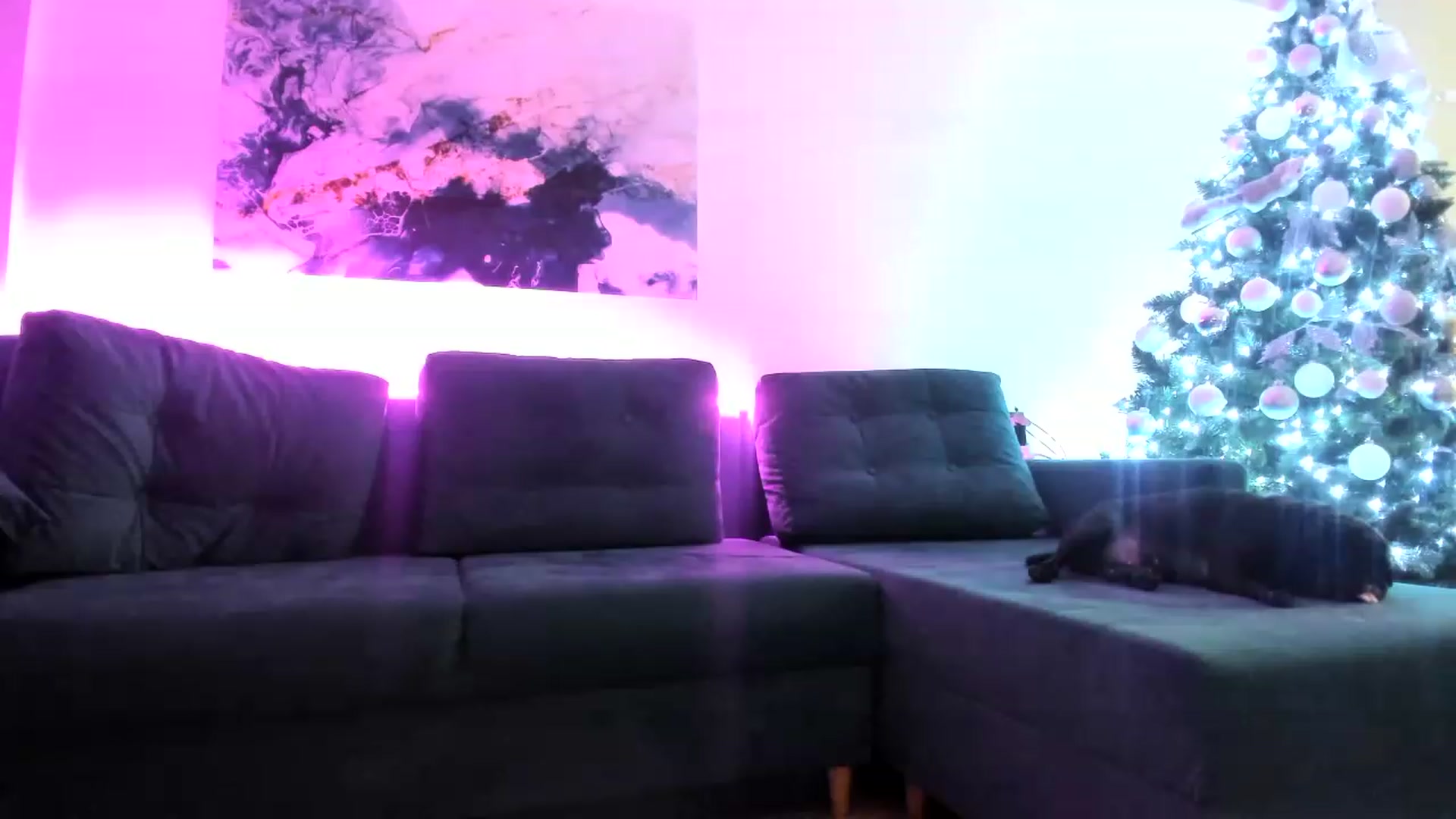 Gallery image thumbnail from AAA_Yas's myfreecams stream on, 01/01/2023, 02:26 image 20 of 20