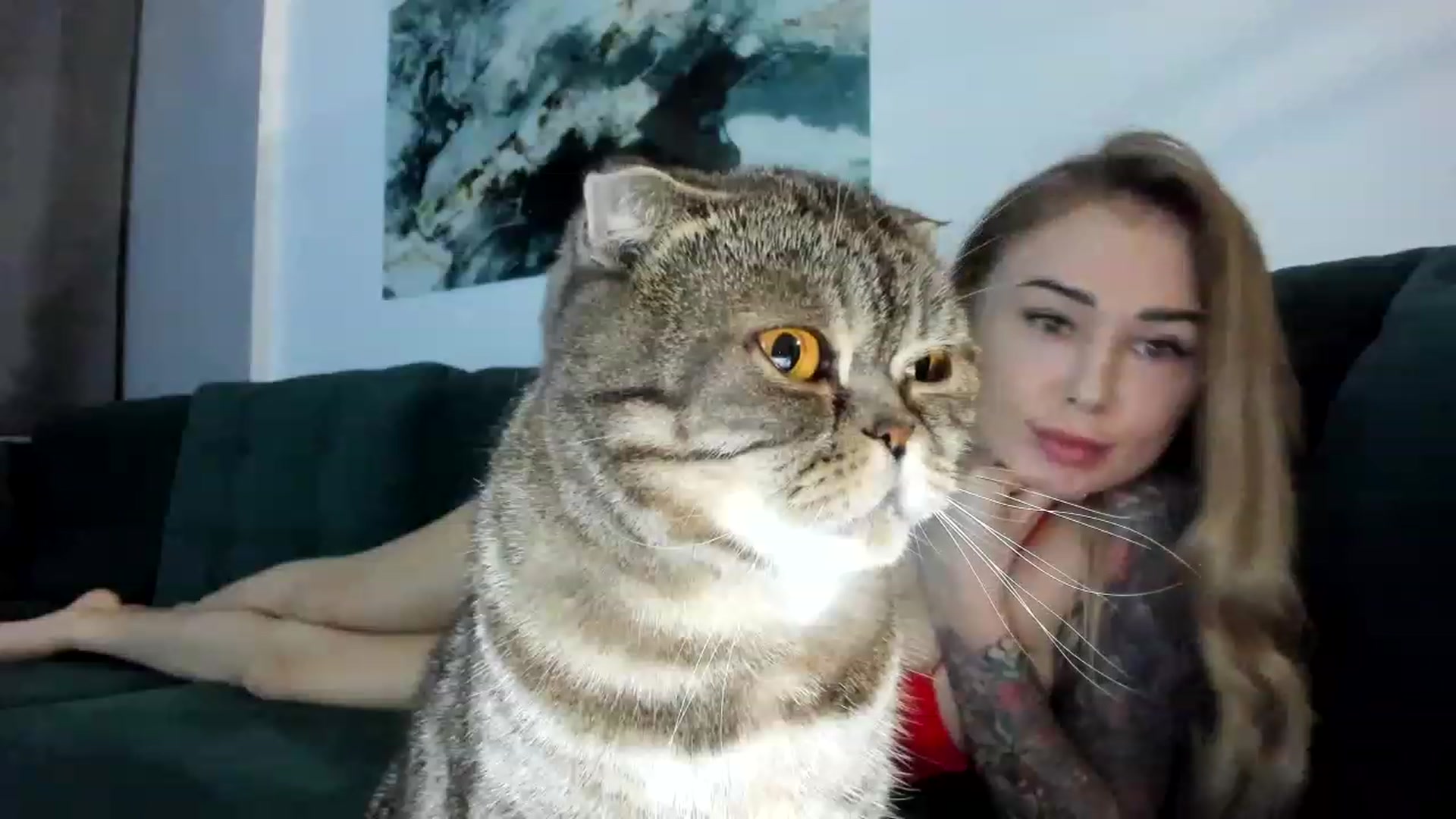 Gallery image thumbnail from AAA_Yas's myfreecams stream on, 02/01/2023, 20:32 image 14 of 20