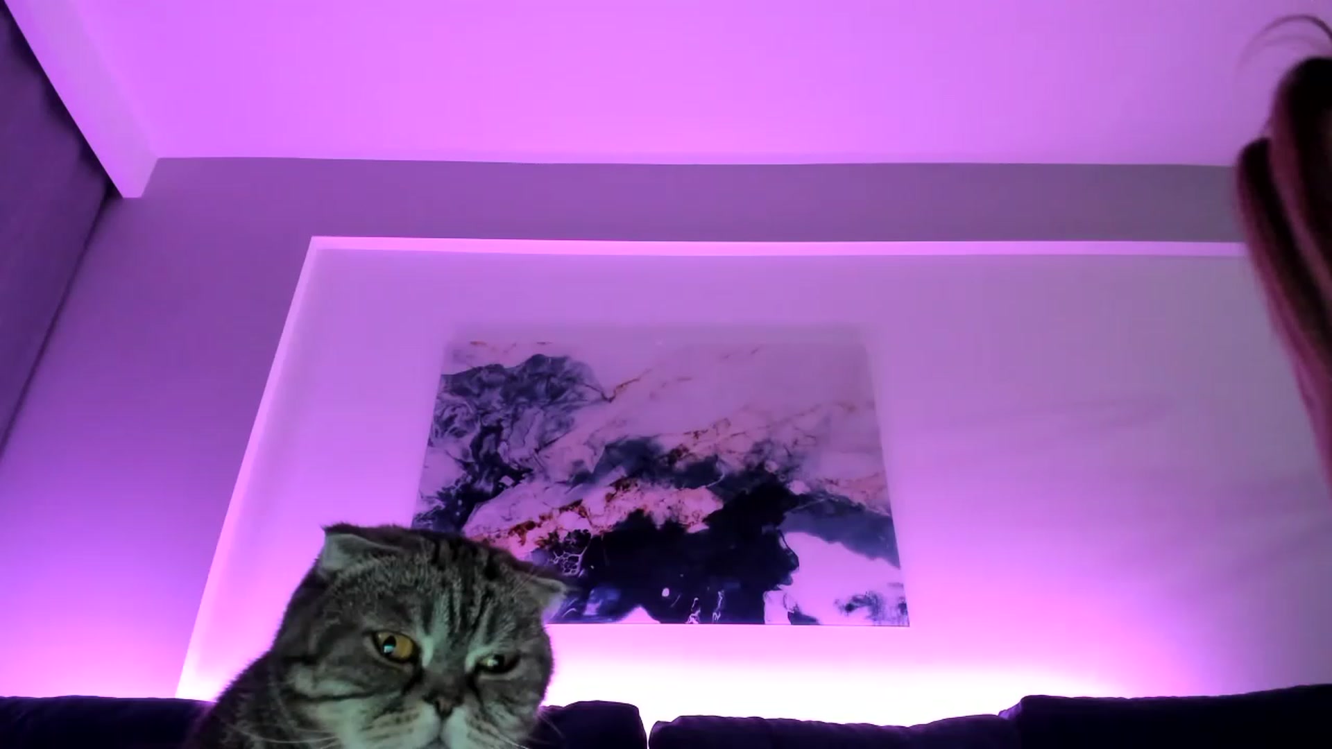 Gallery image thumbnail from AAA_Yas's myfreecams stream on, 02/03/2023, 23:15 image 18 of 20