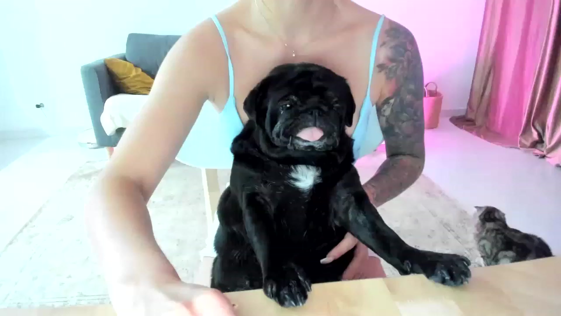Gallery image thumbnail from AAA_Yas's myfreecams stream on, 05/05/2023, 23:08 image 13 of 20