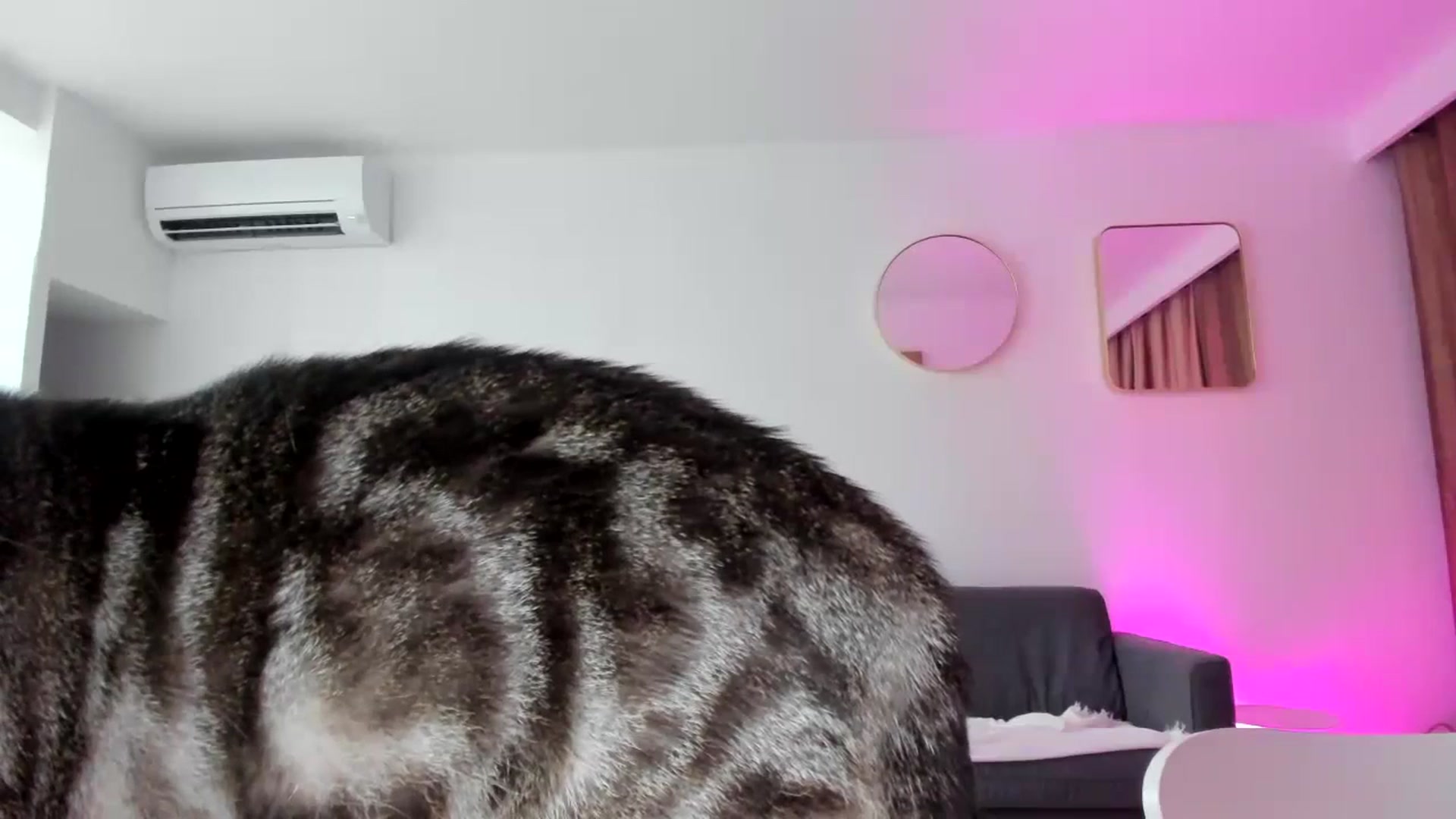 Gallery image thumbnail from AAA_Yas's myfreecams stream on, 07/12/2023, 22:37 image 8 of 20