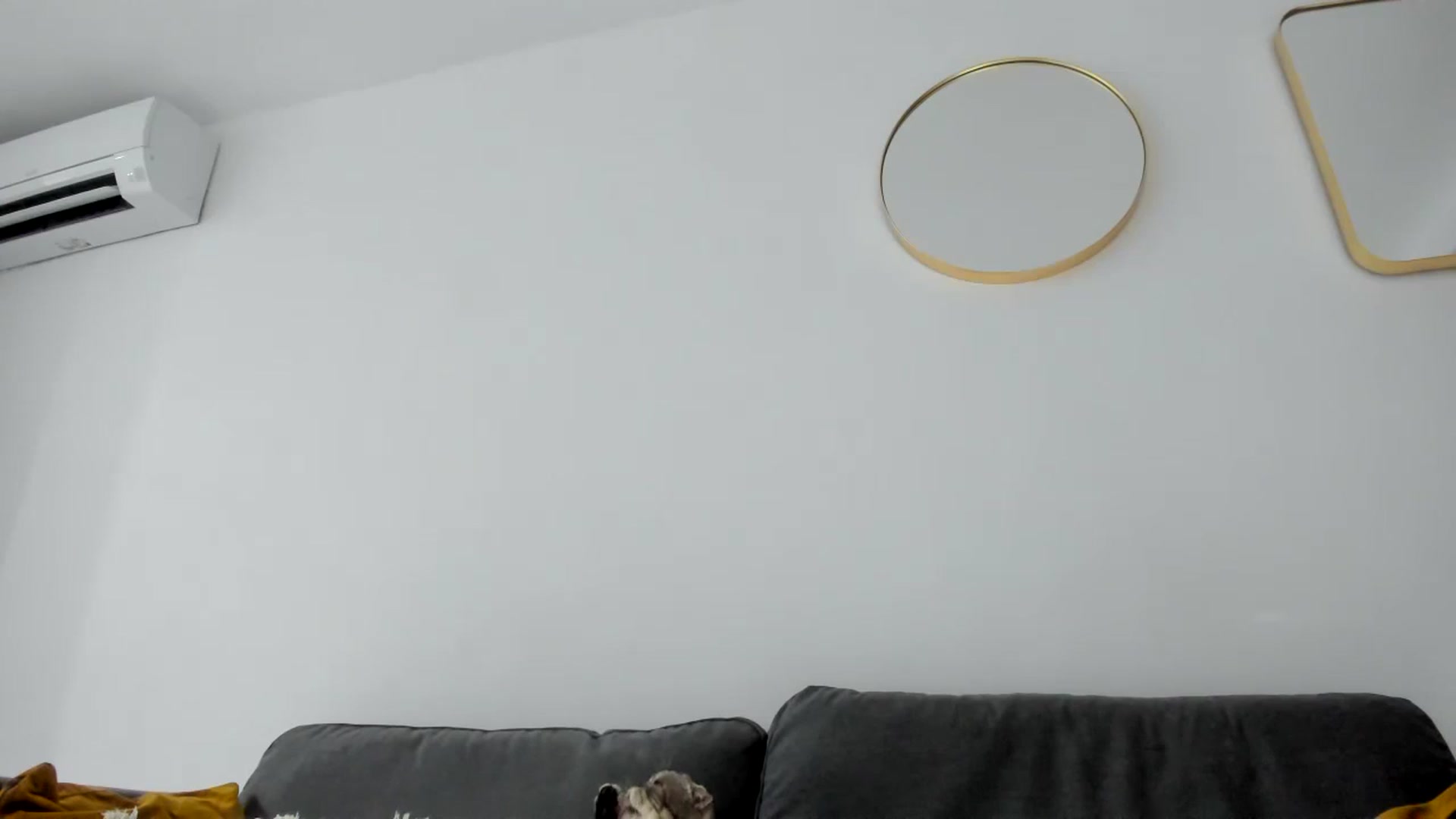 Gallery image thumbnail from AAA_Yas's myfreecams stream on, 08/16/2023, 22:43 image 2 of 20