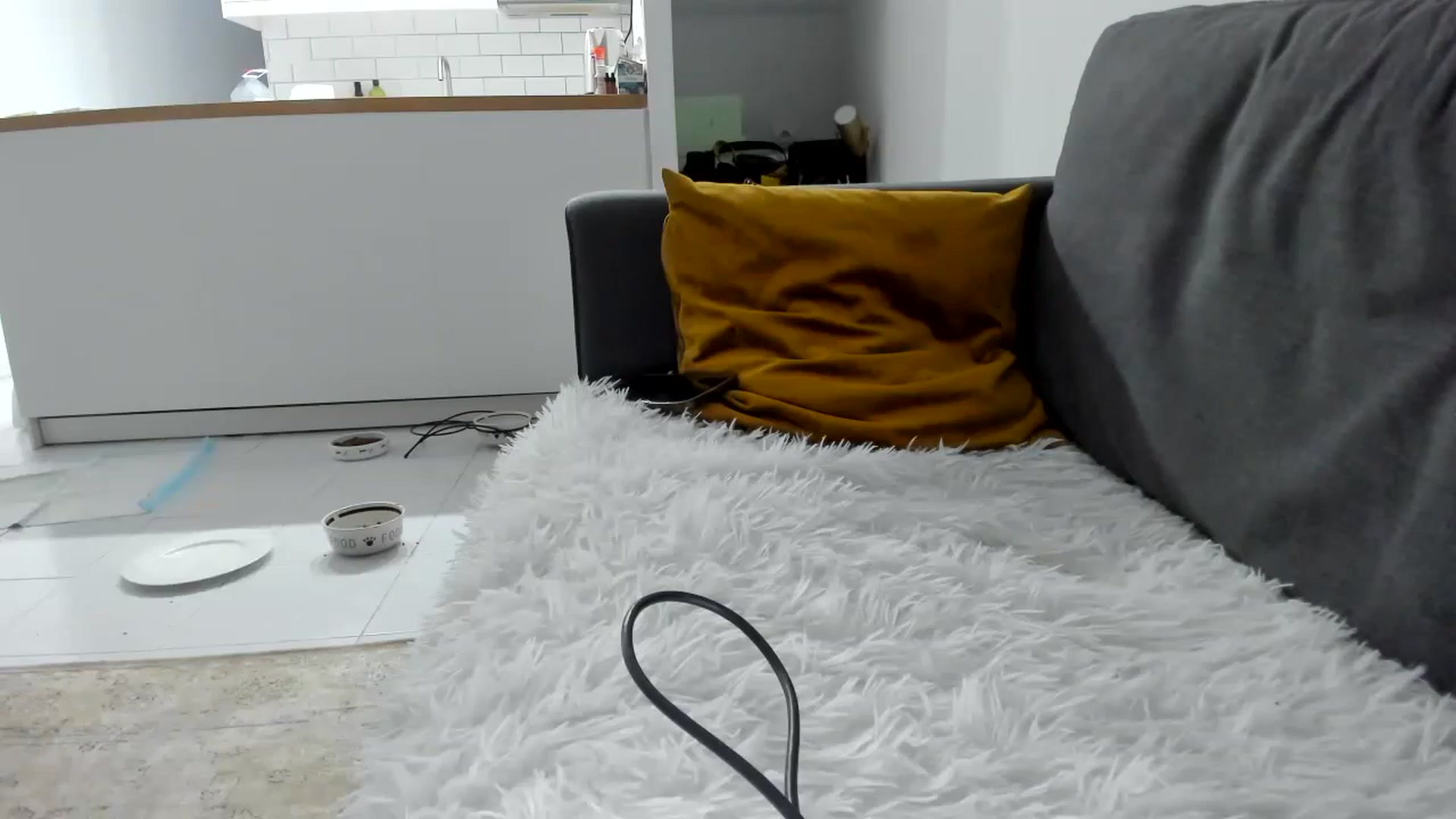 Gallery image thumbnail from AAA_Yas's myfreecams stream on, 09/04/2023, 20:19 image 13 of 20