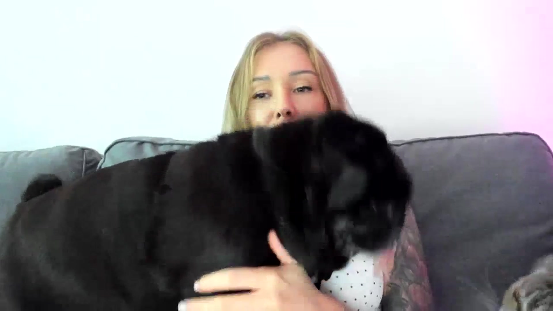 Gallery image thumbnail from AAA_Yas's myfreecams stream on, 10/25/2023, 24:00 image 7 of 20
